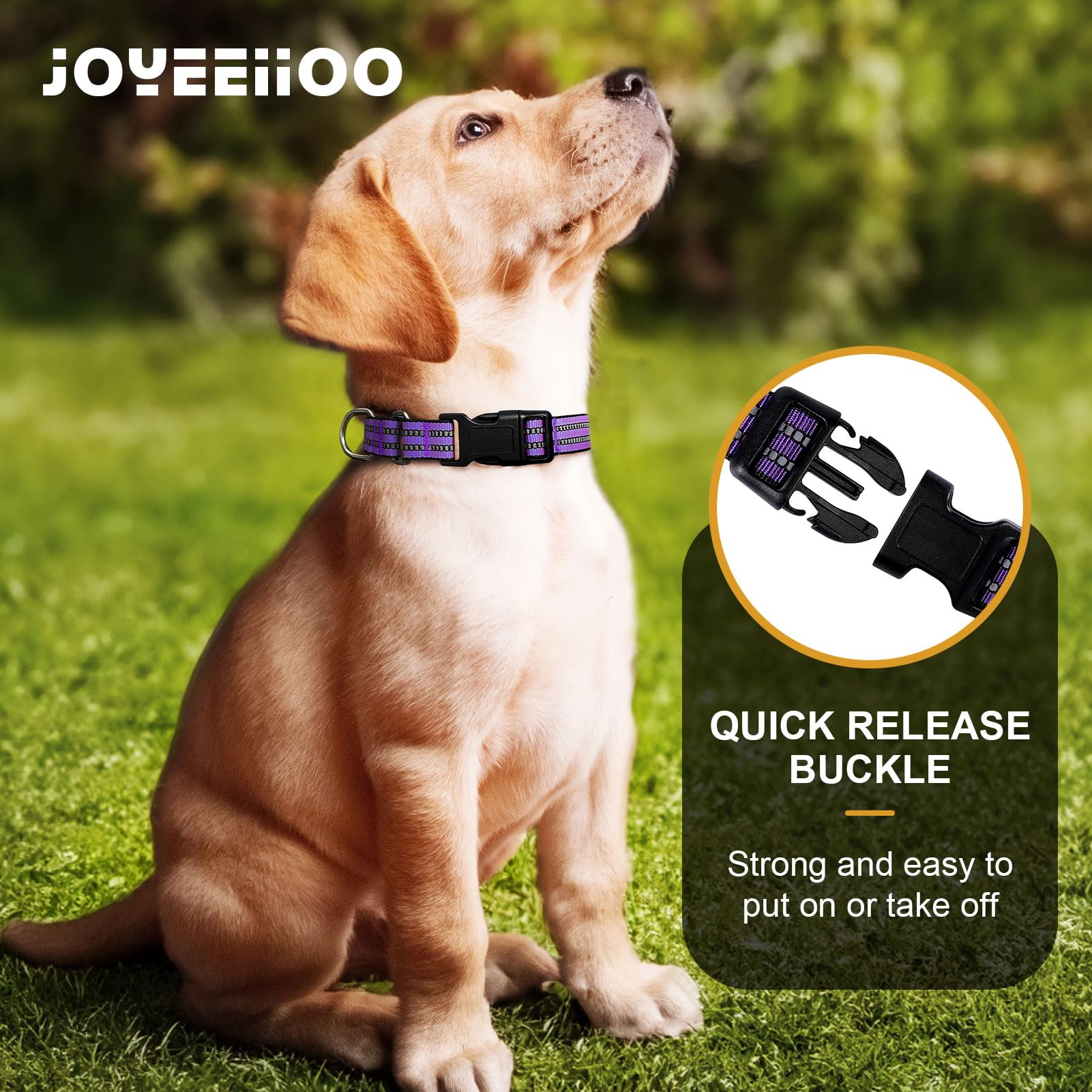 Joyeeiioo Martingale Dog Collar, Adjustable Nylon Reflective Collar With Buckle. No Pull -For Small, Medium, Large Dogs. Prevents Slipping Out-Helps With Strong Pullers-Increase Control (Purple M)