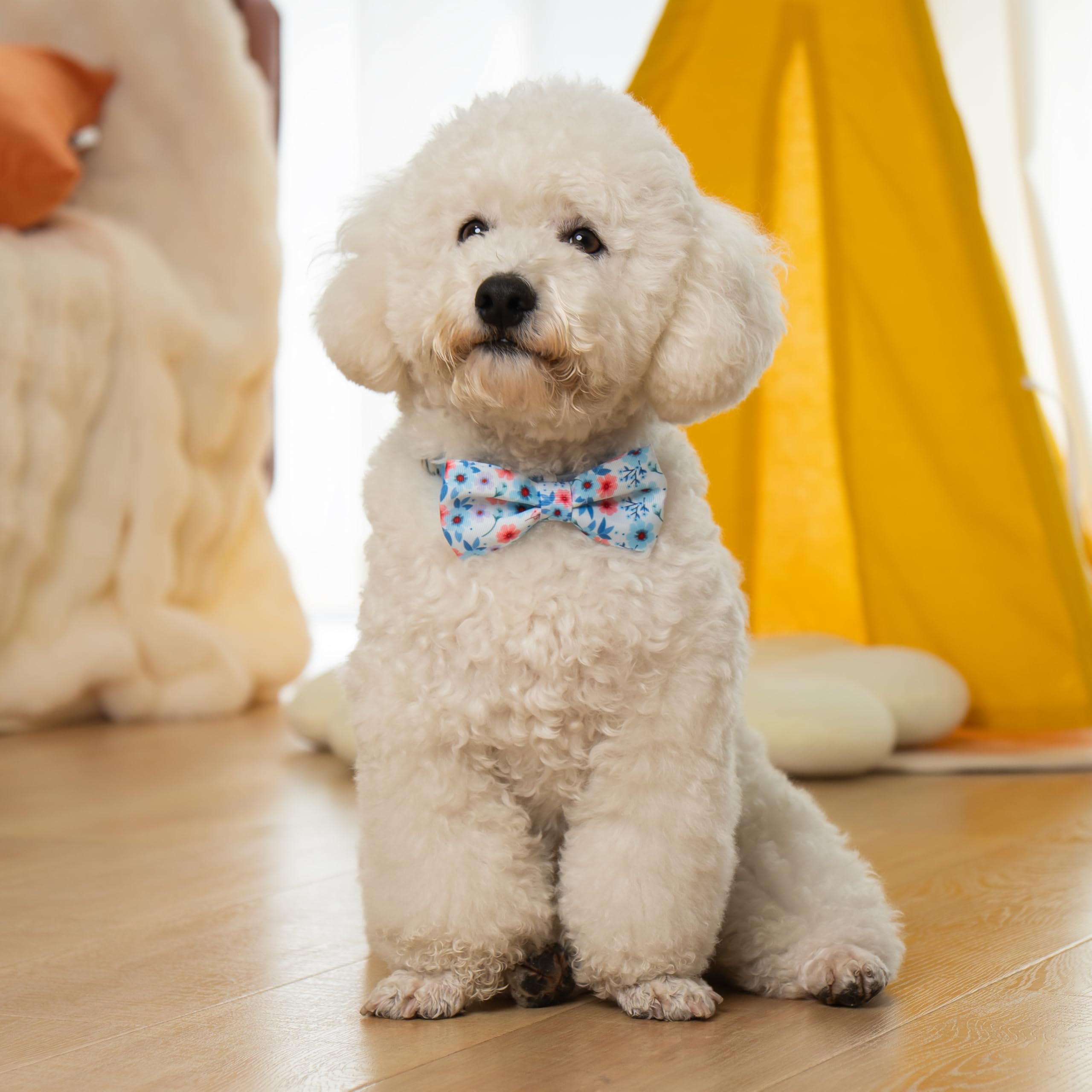 Azuza Dog Collar With Bow Tie, Soft And Comfortable Adjustable Bowtie Dog Collar For Small Dogs (S, Gerbera)