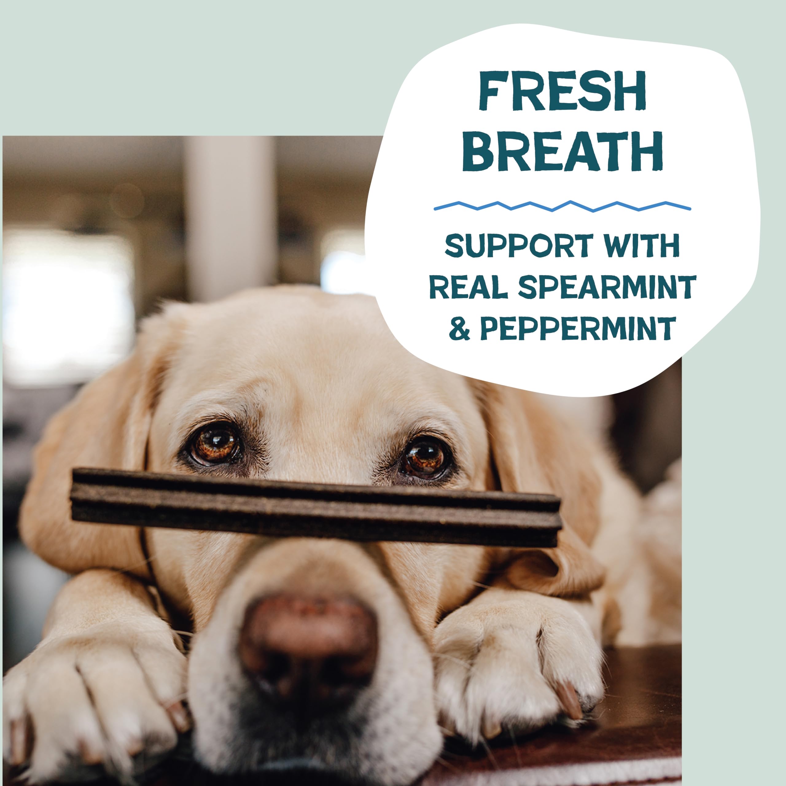 Shameless Pets Dental Chews for Dogs, Mighty Mint Dental Sticks, Healthy Treats for Teeth Cleaning & Fresh Breath - Free from Gr
