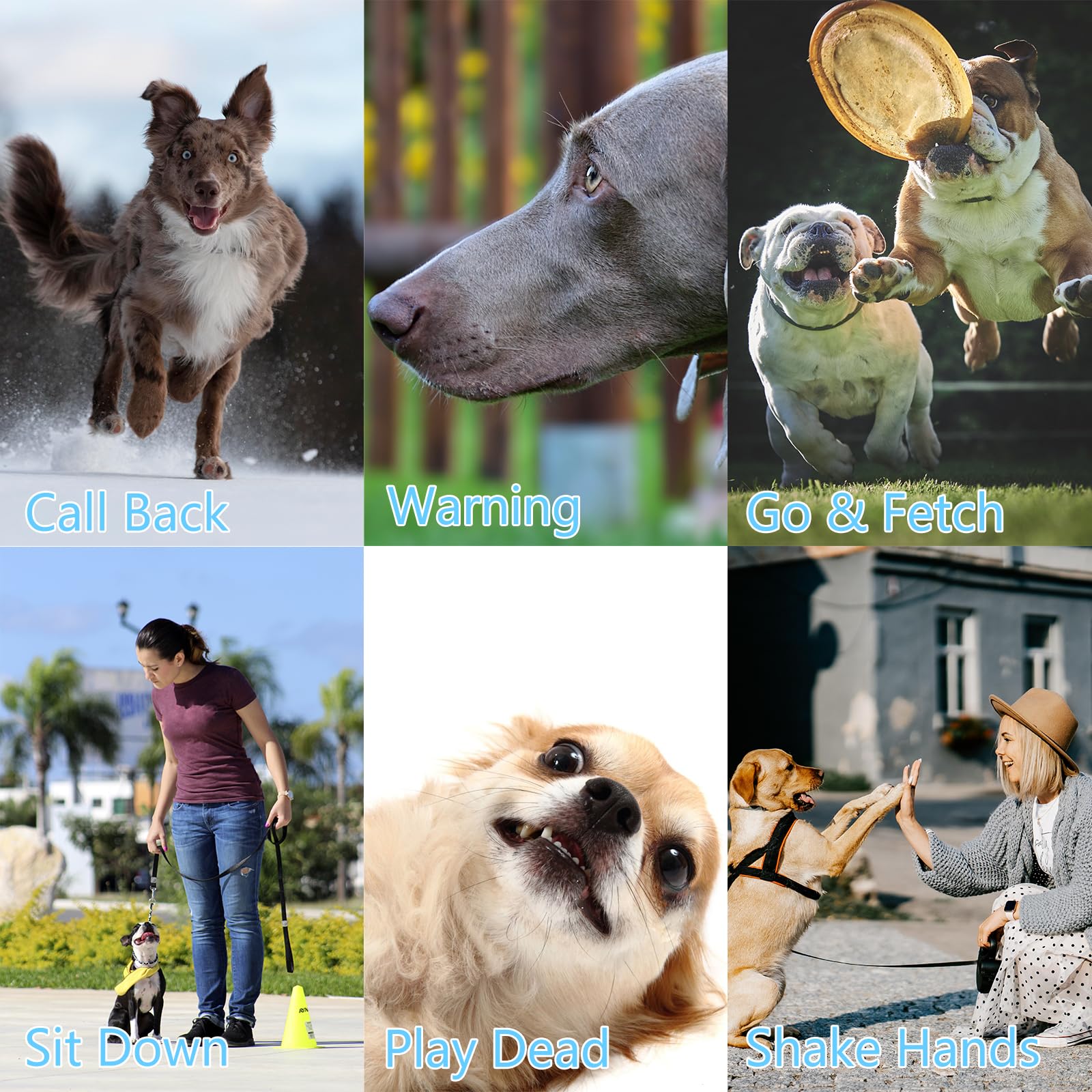 Eybdyb 2Pack,Dog Training Whistle - Stop Barking, Call Dogs, Adjustable Frequency, Safe & Durable For All Breeds,Dog Whistle To