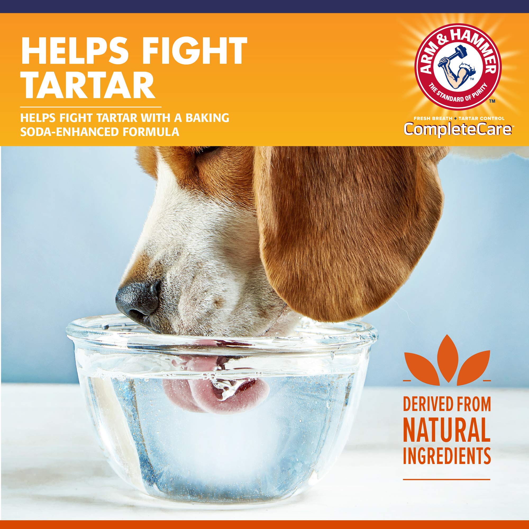 Arm & Hammer Complete Care Fresh Dental Water Additive for Dogs, 16 Fl Oz - Flavorless Dog Water Additive, Dog Mouth Wash, Dog D
