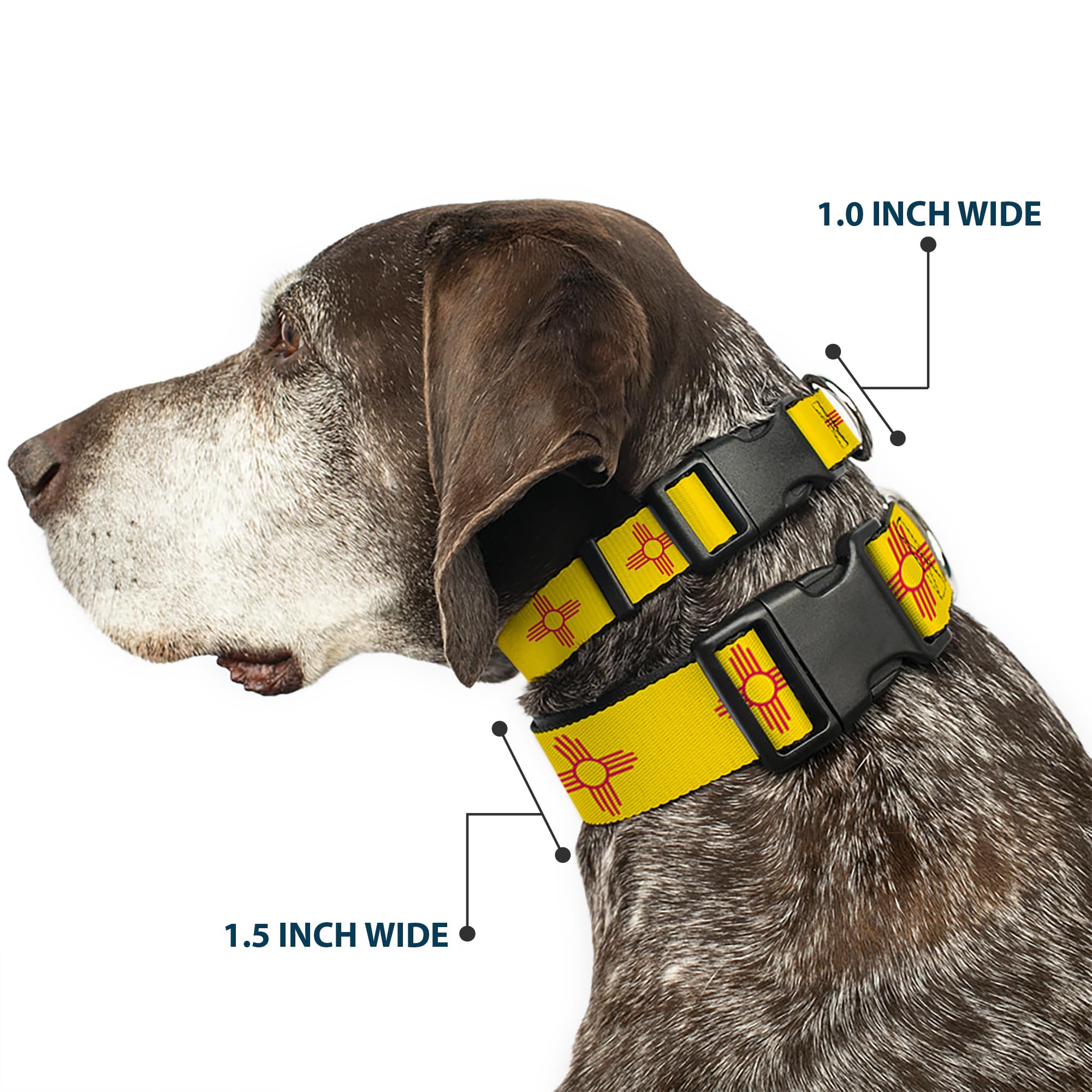 Buckle-Down Dog Collar Plastic Clip New Mexico Flag Yellow Red 16 To 23 Inches 1.5 Inch Wide
