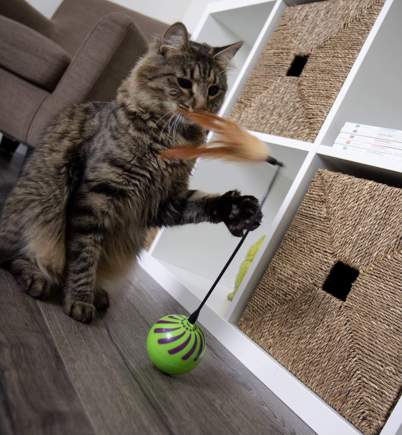 Smartkat Feather Whirl Electronic Motion Wand Cat Toys, Includes , Battery Powered- Green, Pack Of 2 + Replacement Wands