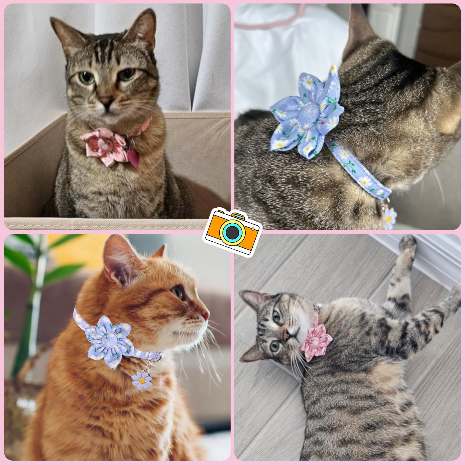 Dillybud Breakaway Cat Collars For Girl Boy Cats, 2 Pack Cute Kitten Collar With Bells & Flowers, Safety Adjustable Female Male