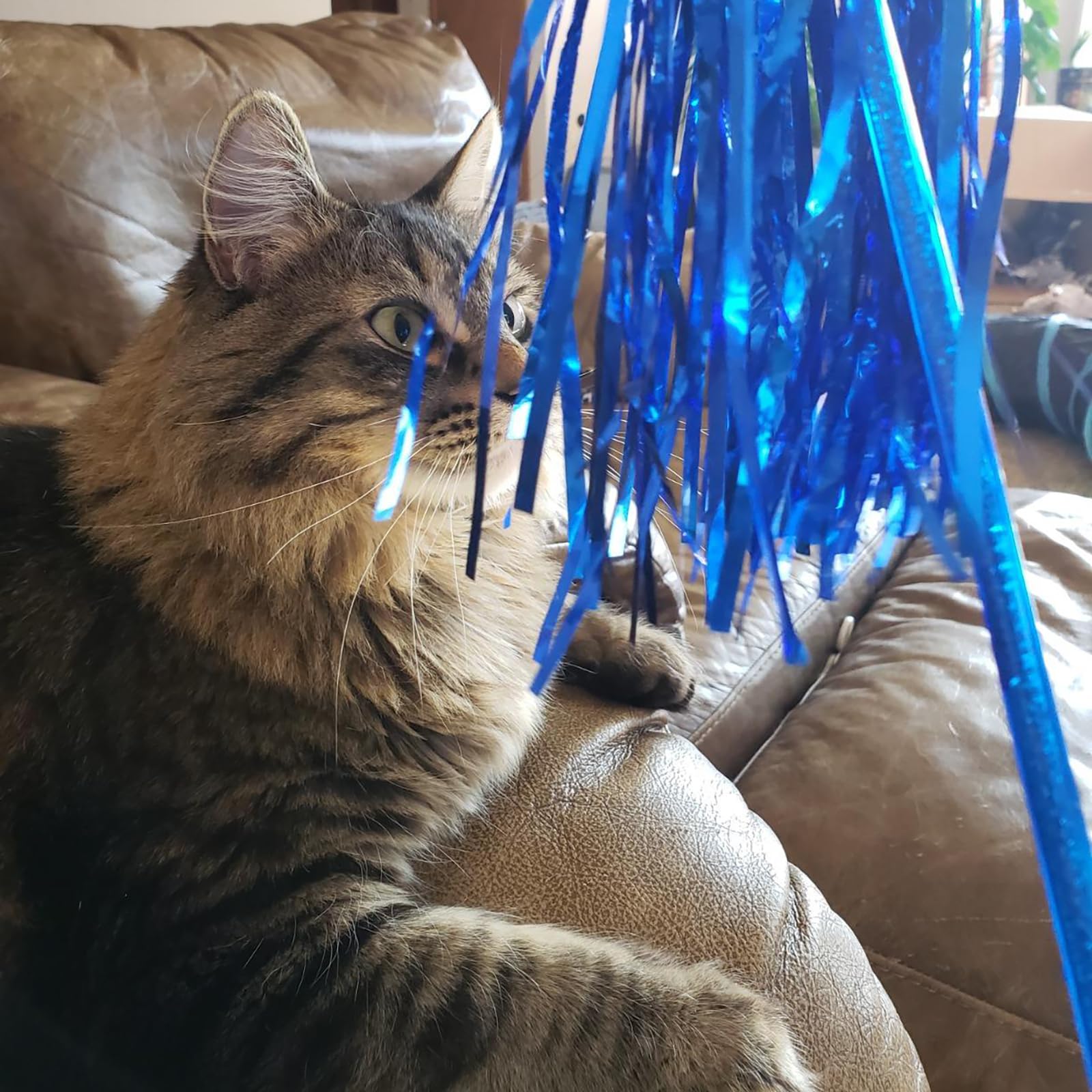 Aduck Cat Toys Interactive Teaser Wand Toy With Tassels Worms Catcher For Cats Kitten, Pack Of 3 (Gold + Blue + Pink)