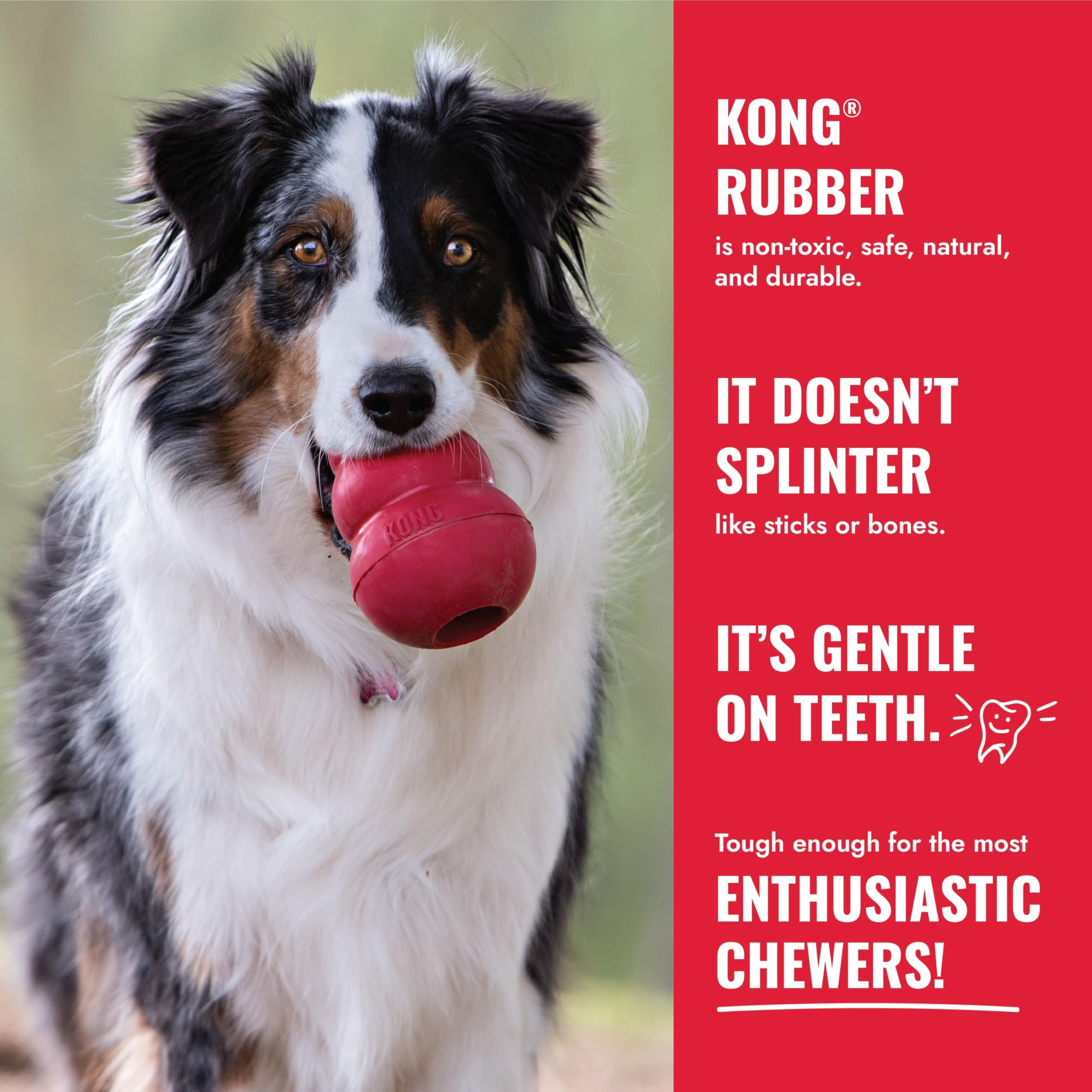 KONG Goodie Bone - Classic Durable Natural Rubber Dog Bone, Supports Mental Engagement - Treat Dispensing - Red - for Extra Larg