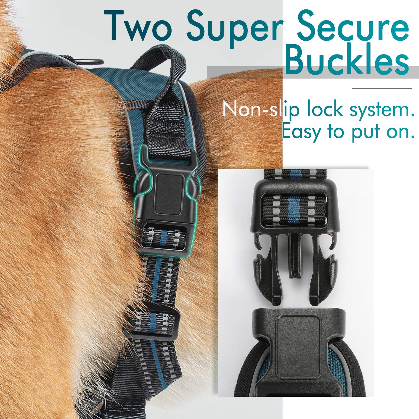 Rabbitgoo Dog Harness, No-Pull Pet Harness With 2 Leash Clips, Adjustable Soft Padded Dog Vest, Reflective No-Choke Pet Oxford Vest With Easy Control Handle For Large Dogs, Blue Coral, L