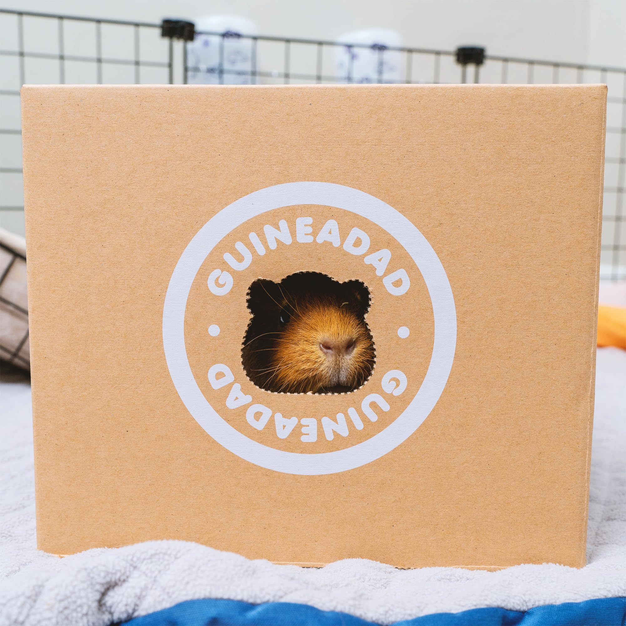 Guineadad Cuddlecomb - Pet Brush For Dogs, Cats, Rabbits, And Guinea Pigs - Rubber Grip, Silicone Bands For Shedding, Molting, And Shiny Coat (Short)