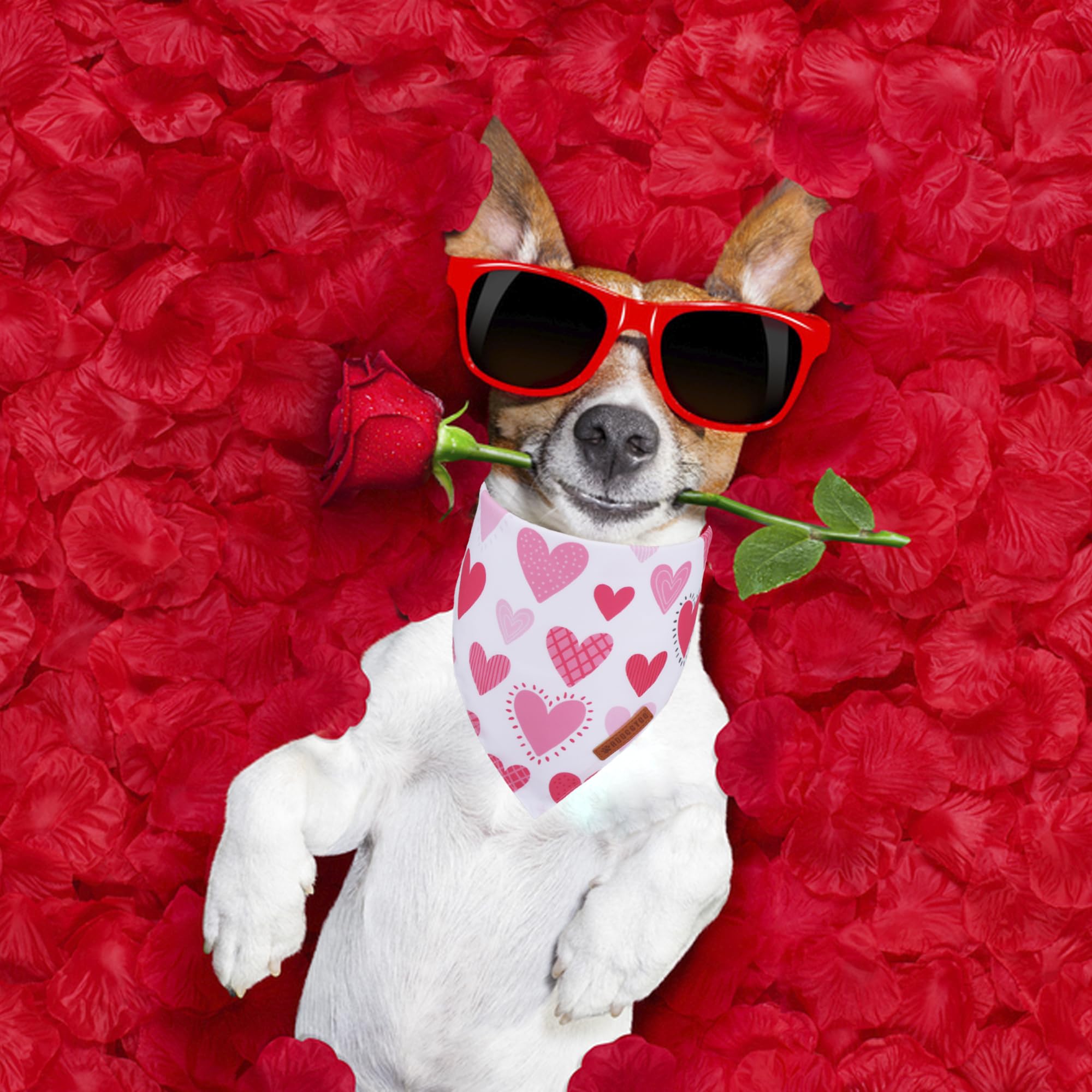 ADOGGYGO Valentine Dog Bandana, Colorful Heart Pet Scarf, Multi Size Offered, White Blue Valentine Heart Bandanas for Medium Lar