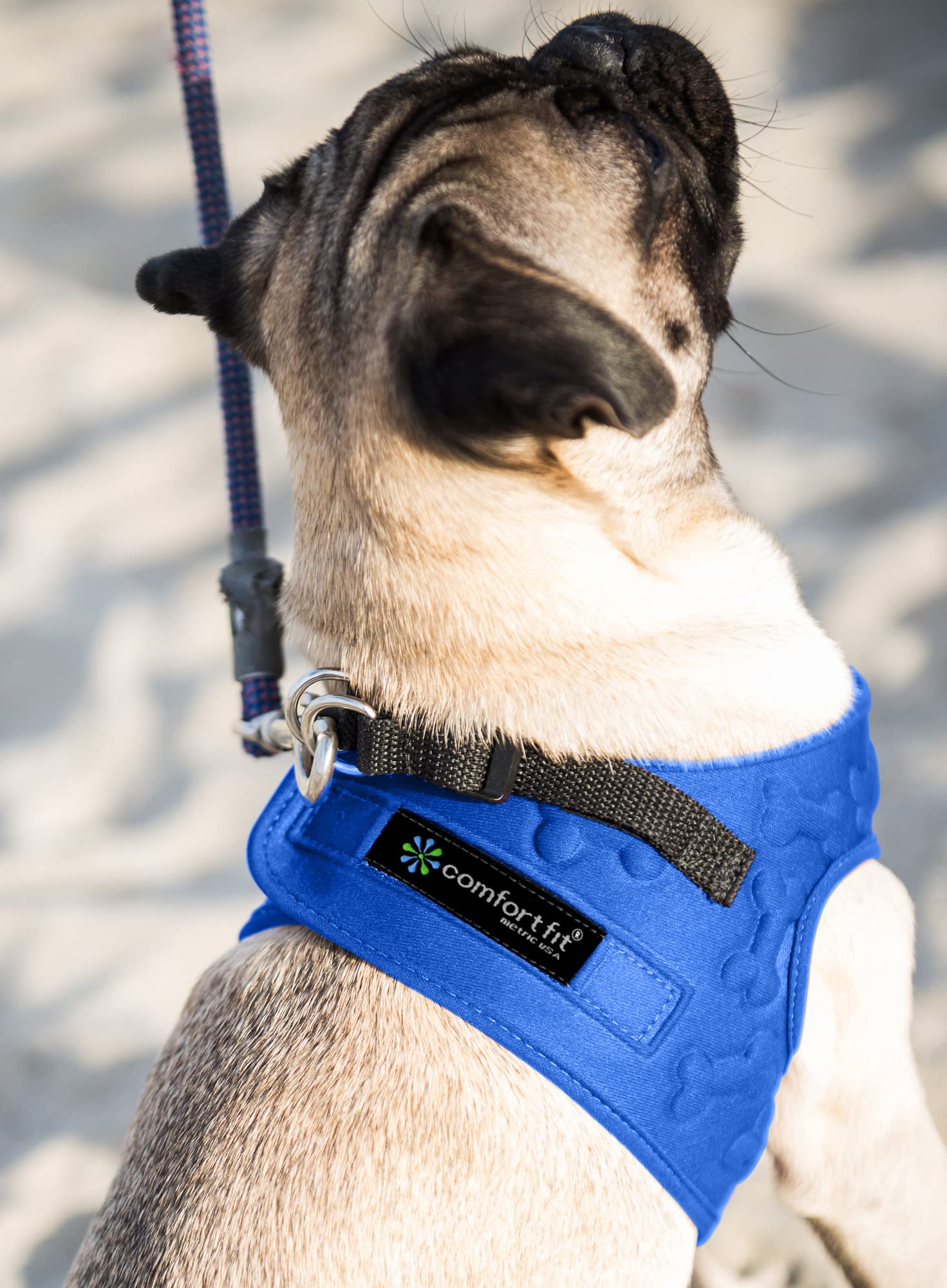 Metric USA Dog Harness - Comfort Fit Adjustable Vest for Small/Medium Dogs, Padded Soft Polyester, Blue, Size M (Chest 16-20”)