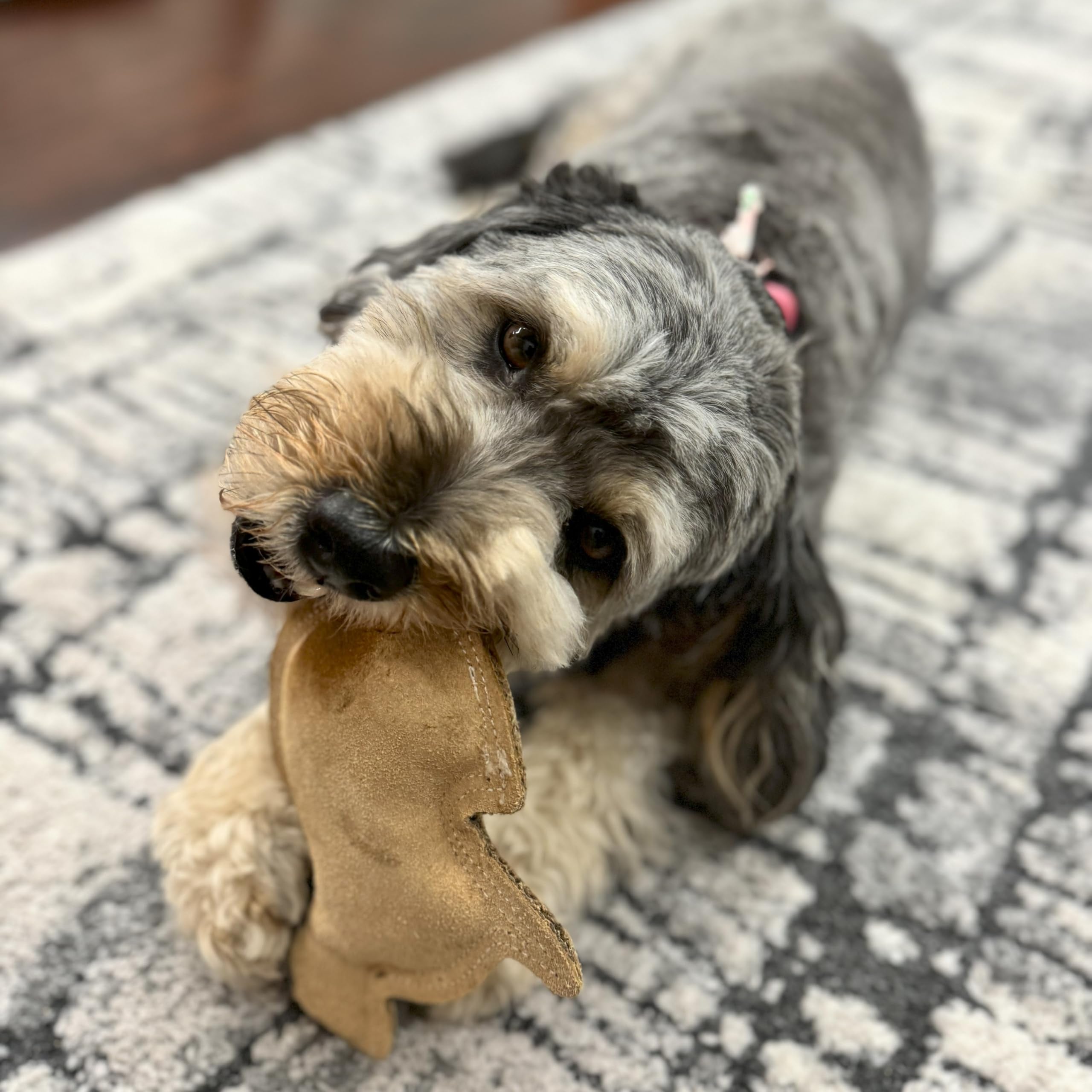 SPOT Dura-Fused Leather Rabbit - Durable Dog Toy with Squeaker, Real Leather & Jute Fabric, Interactive Toy for Moderate & Aggre