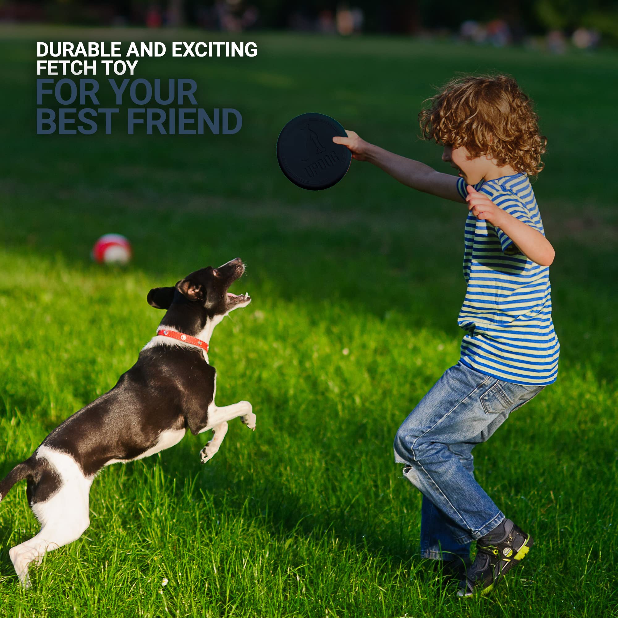 Updog Products 6-Inch Dog Frisbee Small, Lightweight And Durable Frisbee For Dogs Made In Usa Bright Colored Frisbee Dog Toy (Blue Dark)