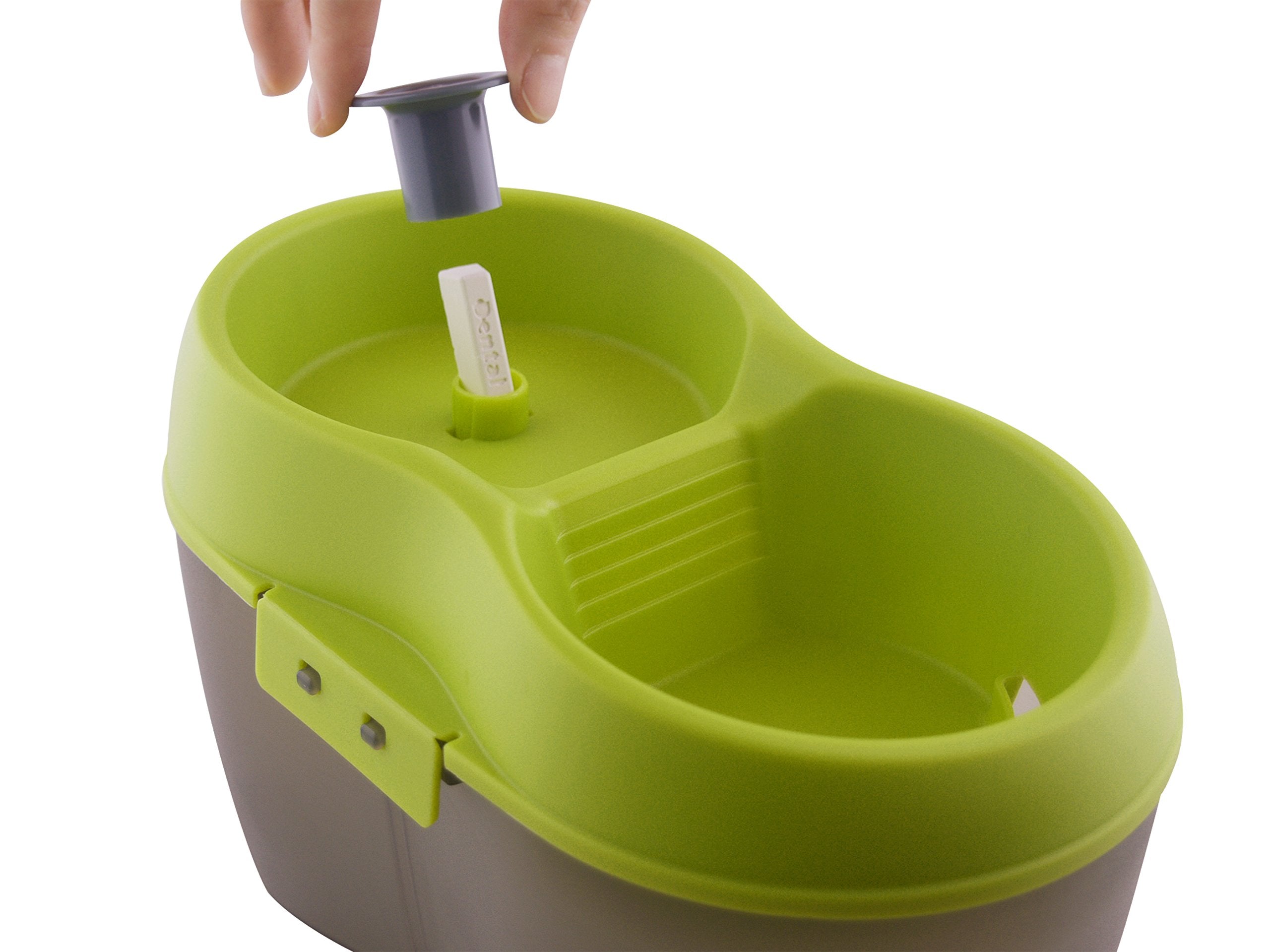 Cat H2O Filtered Cat Water Fountain 67 Fl. Oz/2.1 Quart With Filter & Dental Care Tablet, Lime Green/Translucent Black