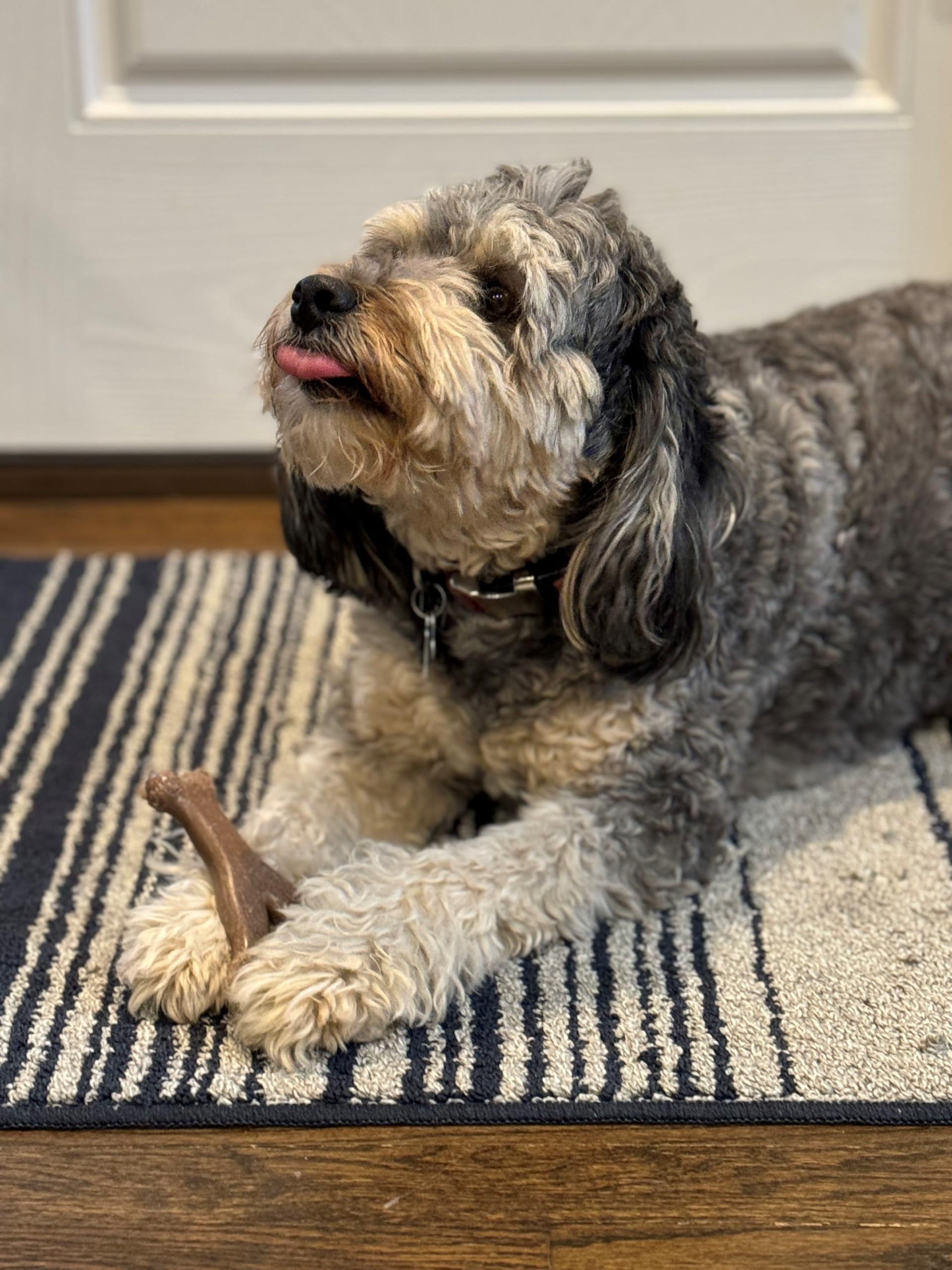 Spot Ethical Pets 54312 Bambone Wish Bone Chicken Pet Chew Toys