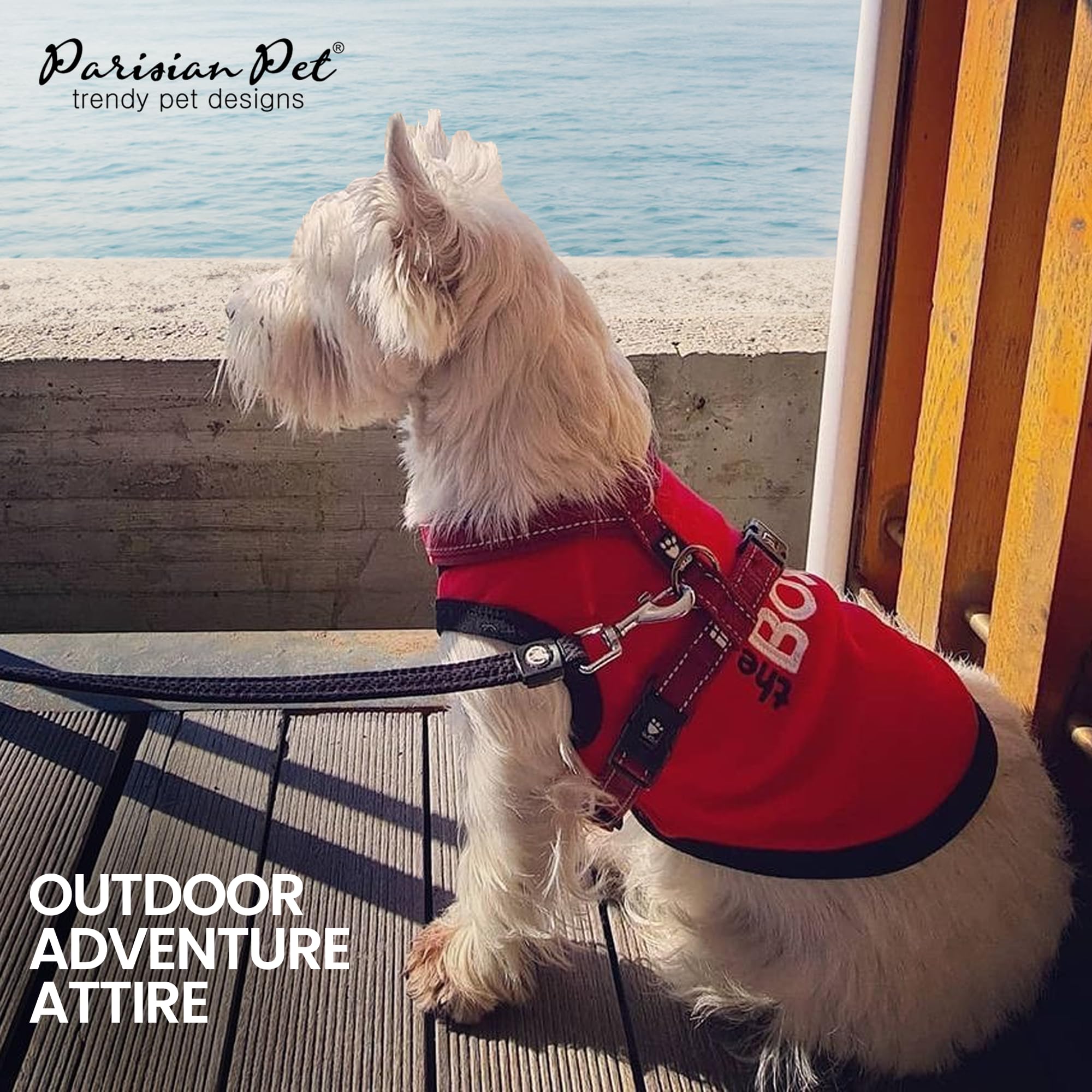 Parisian Pet Dog T-Shirt With Embroidered 'The Boss' - Lightweight Dog Clothes - Sleeveless Dog Outfit Boss - Dog Shirts For Small Dogs, S