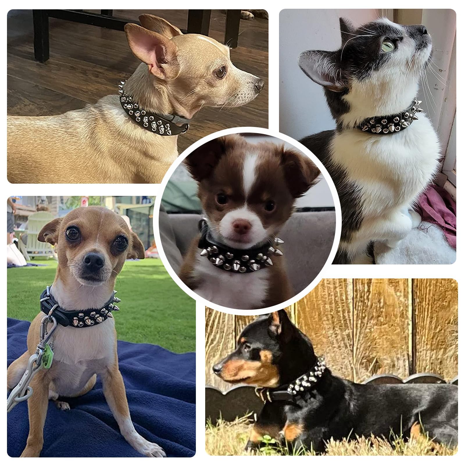 Doggyzstyle Spiked Dog Cat Collar Male Black Soft Leather Spike Puppy Collars Adjustable Mushroom Anti Bite Studded Small Dog Collars For Chihuahua Yorkshire Shihztu Poodle Pit Bull (Black,Xs)