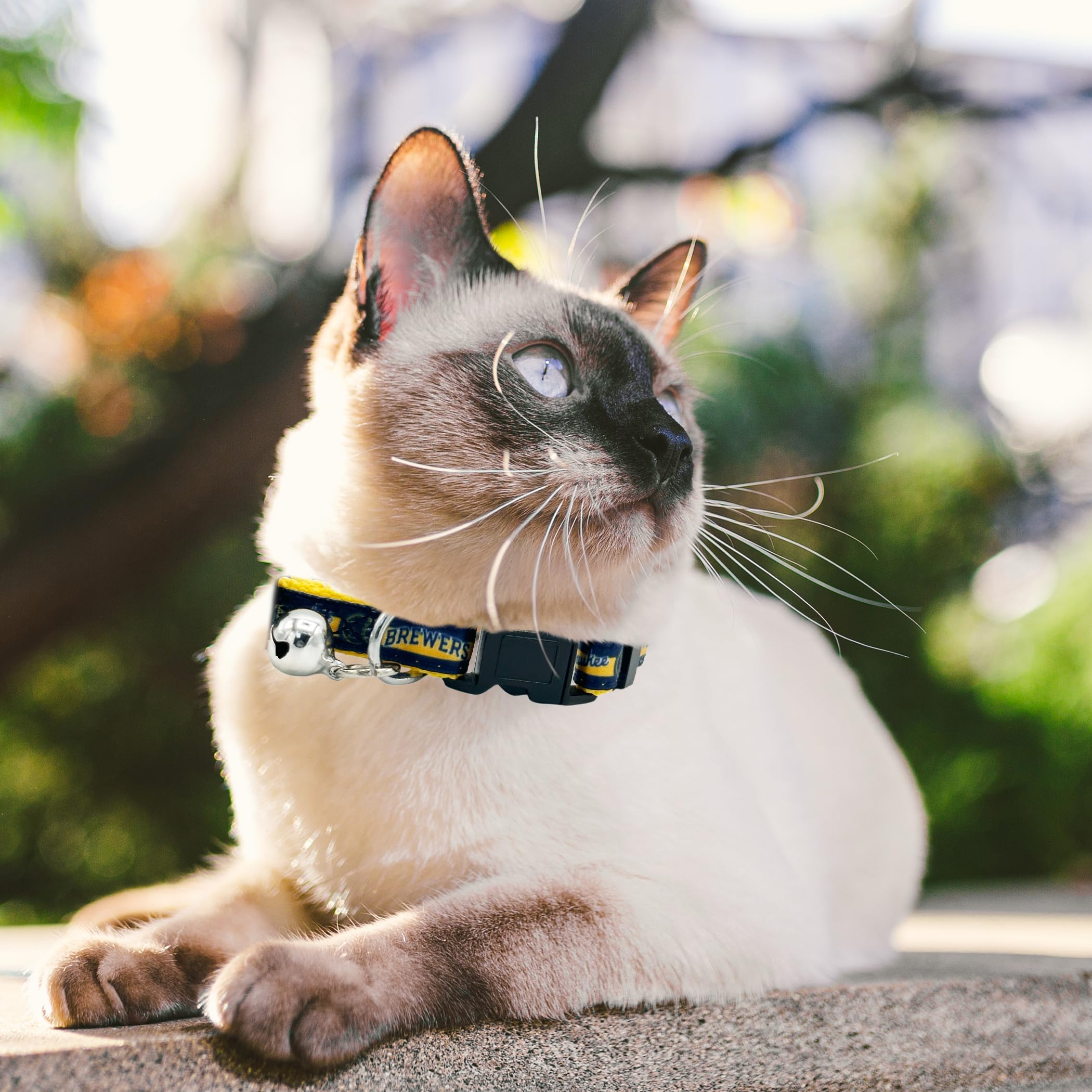 Pets First MLB Cat Collar - Satin Baseball Team Collar for Dogs & Cats, Milwaukee Brewers, Onesize, Model BRW-5034