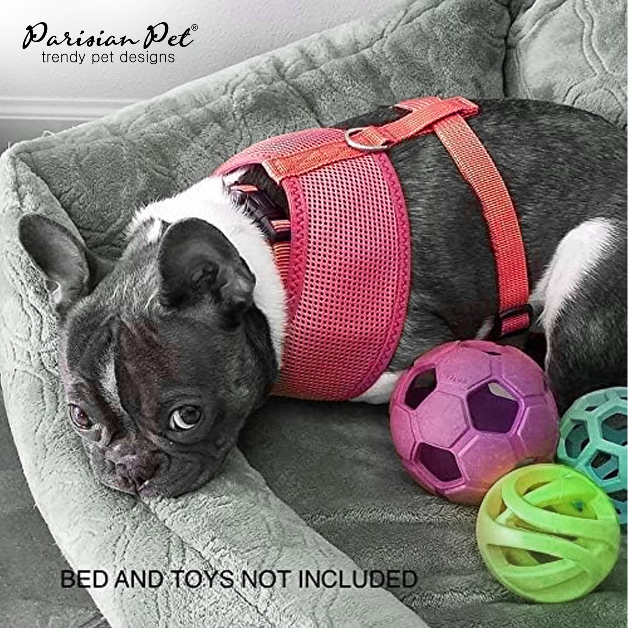 Parisian Pet Dog Harness - Adjustable Pink Dog Vest Harness - 100% Mesh Fabric No Pull Puppy Harness - Cooling Dog Harness For Large Dogs - Idle For Walking, Running, And Hiking - Xl