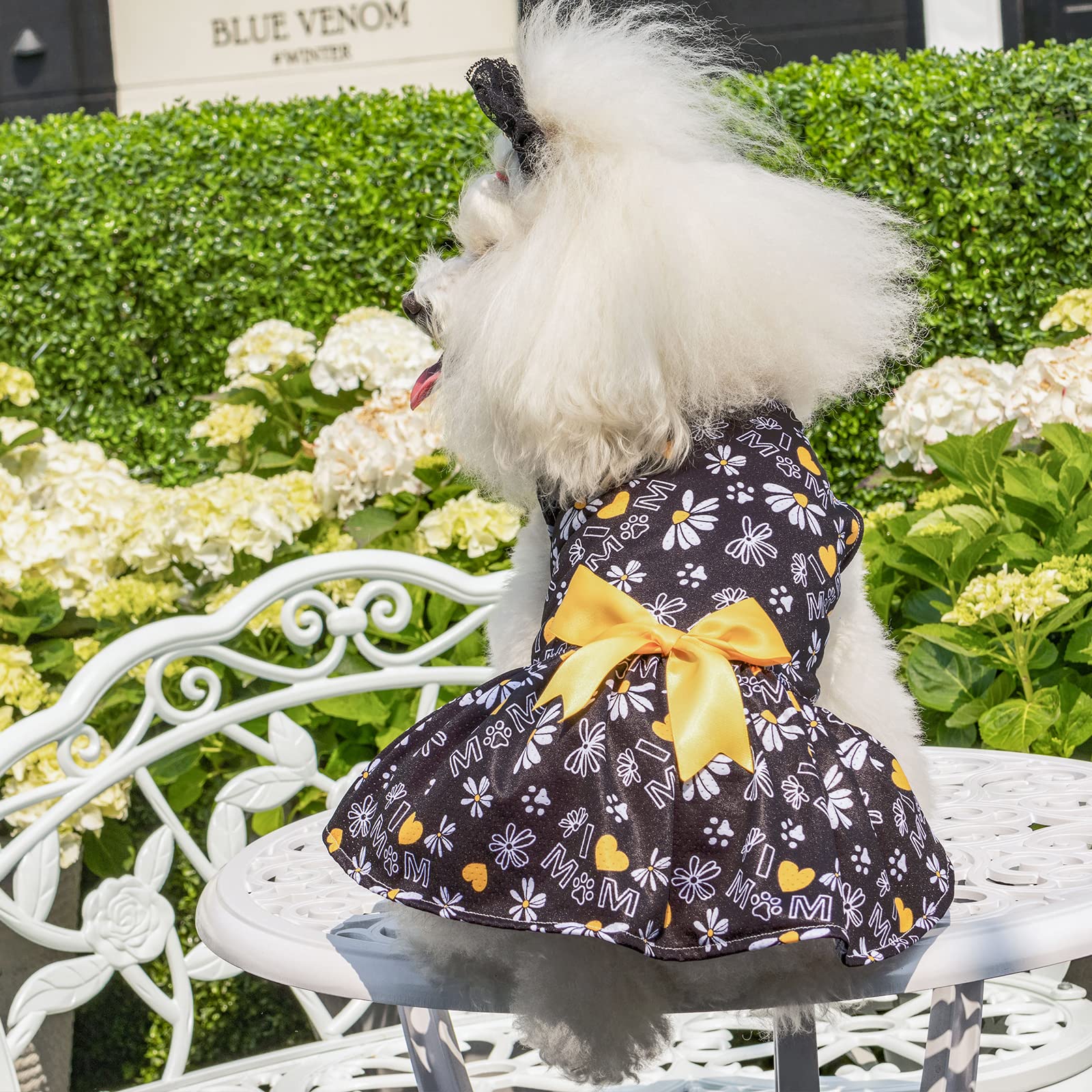 Cutebone Dog Mesh Dress Puppy Sundress Pet Outfit Summer Fashion For Small Dogs Girl Cat Clothes Bf13L