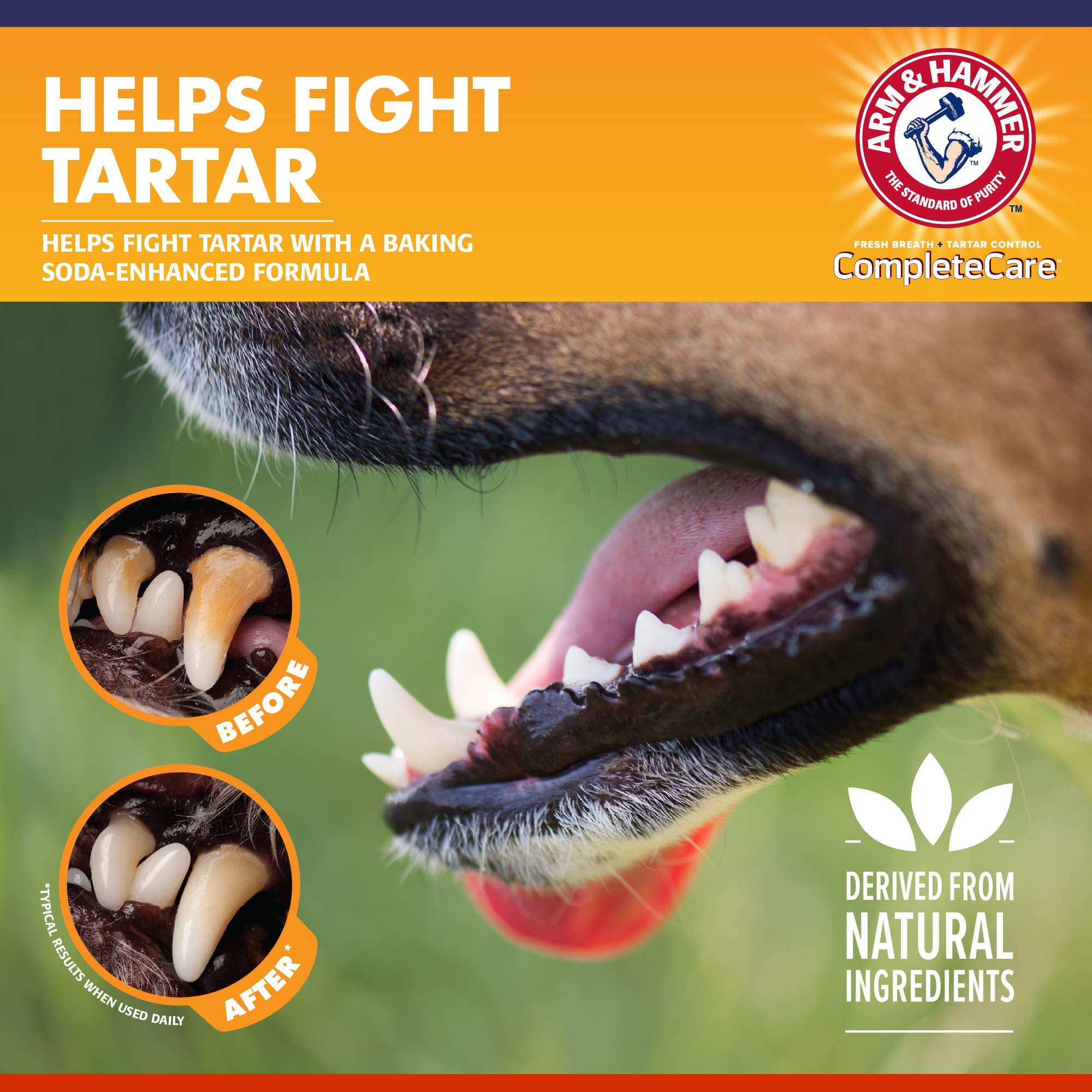 Arm & Hammer Dog Dental Kit - Enzymatic Dog Toothpaste 2.5 oz Chicken Flavor - Dog Toothbrush & Finger Brush - Tartar & Gum Clea