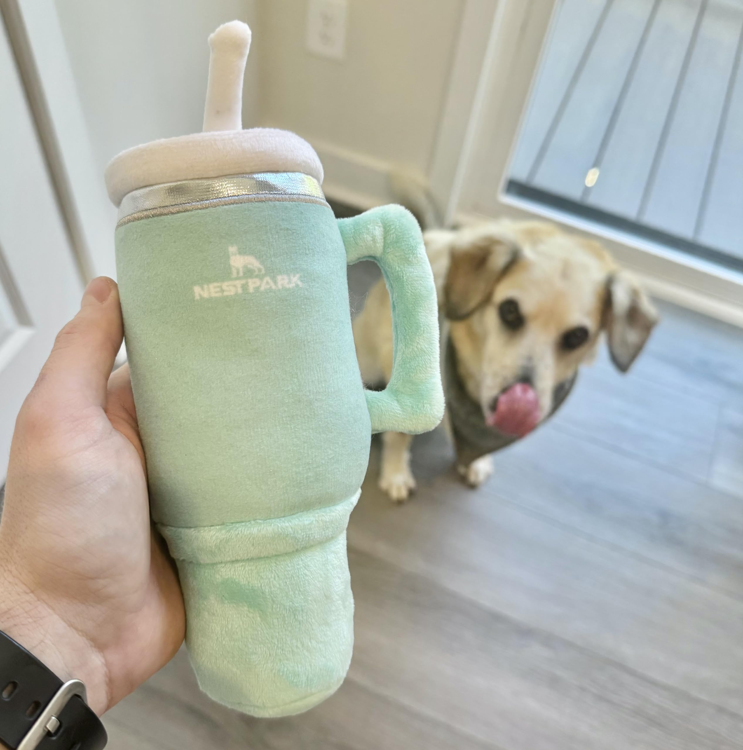 Nestpark Tumbler Cup Funny Dog Toy - Parody Plush Squeaky Crinkle Dog Toy (Seafoam Green)