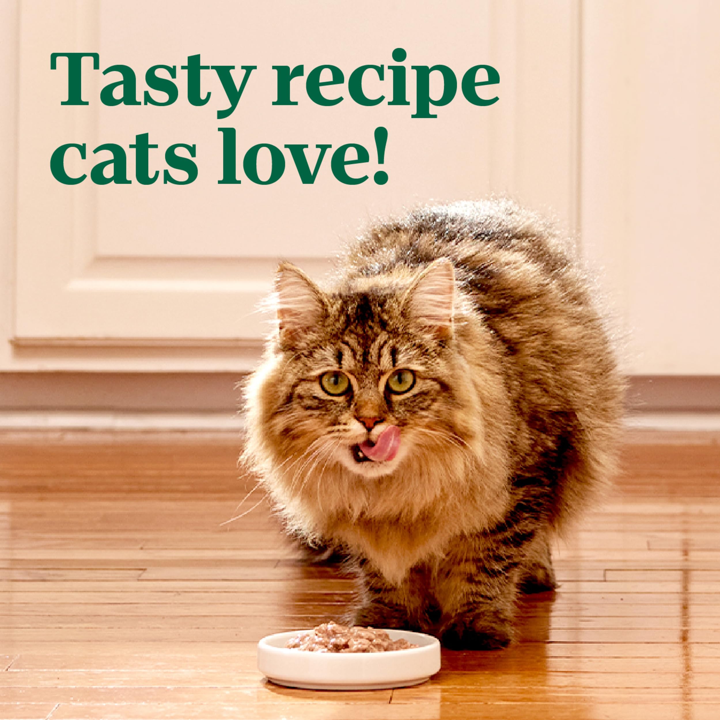 Nutro Perfect Portions Wet Cat Food Cuts in Gravy Chicken Recipe, 2.64 oz Twin-Pack Trays (24 Count, Pack of 1)