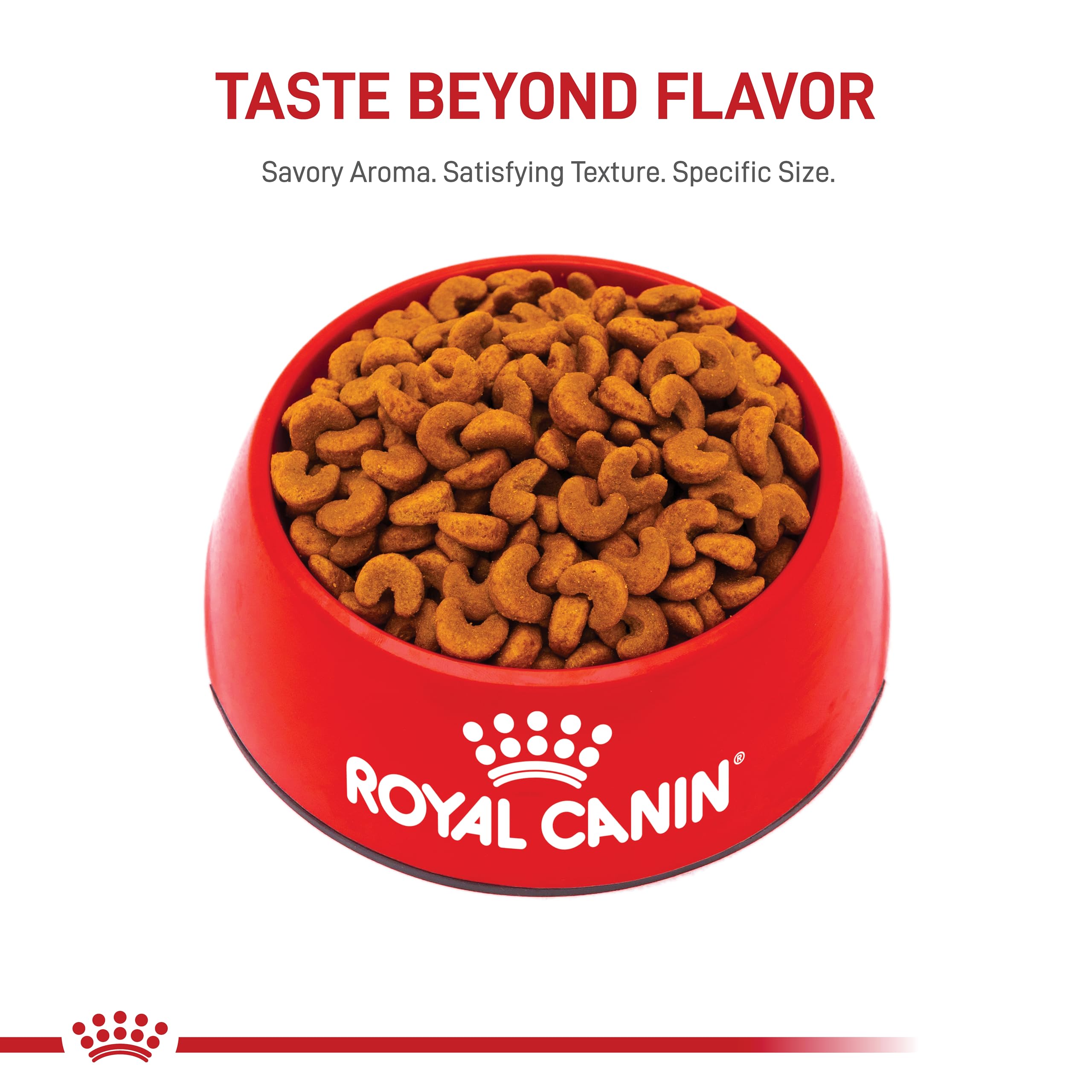 Royal Canin French Bulldog Puppy Dry Dog Food, 10.5 lb Bag - Nutritious Formula for Healthy Growth