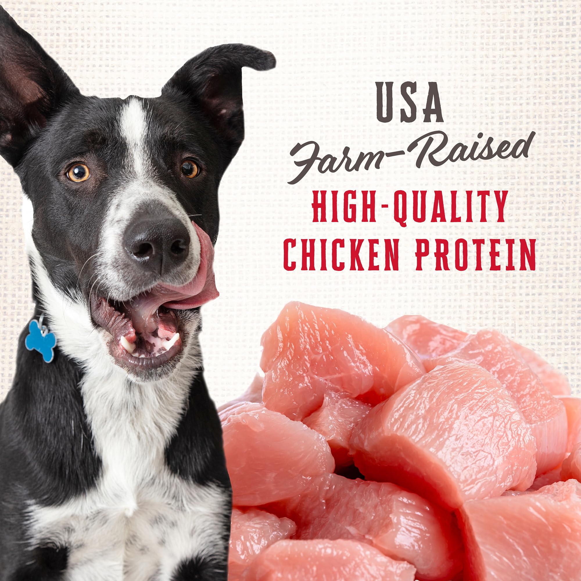 Wholesomes Rewards Medium Original Biscuit Dog Treats 3 lb