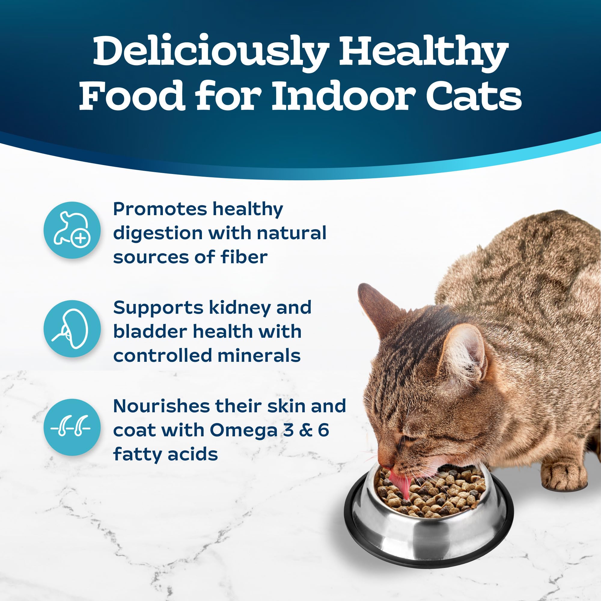 Blue Buffalo Tastefuls Indoor Natural Adult Dry Cat Food, Chicken 3lb bag