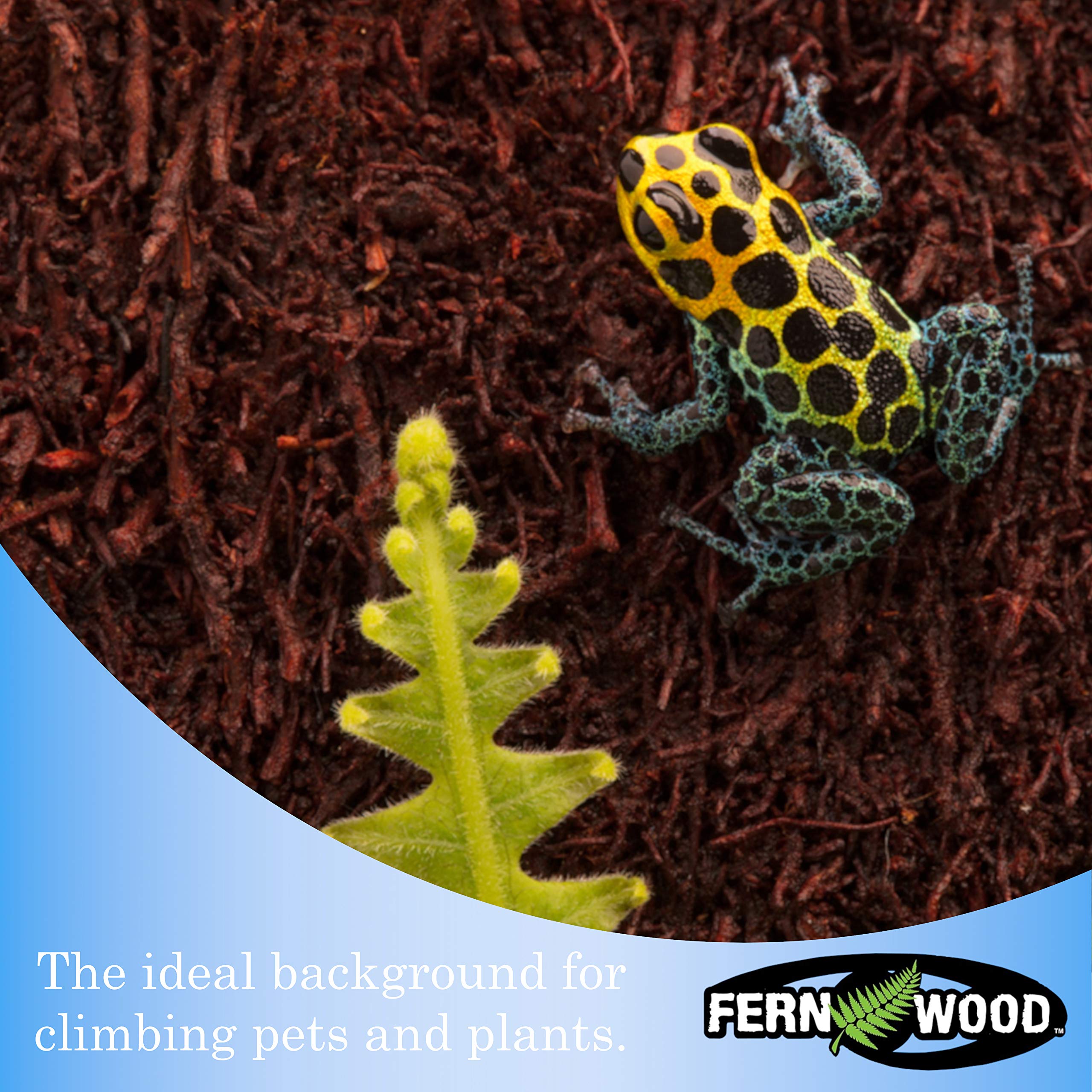 Fernwood Vivarium And Terrarium Background Panels- Made From New Zealand Tree Fern | Natural And Fibrous | For Reptile Tank Back