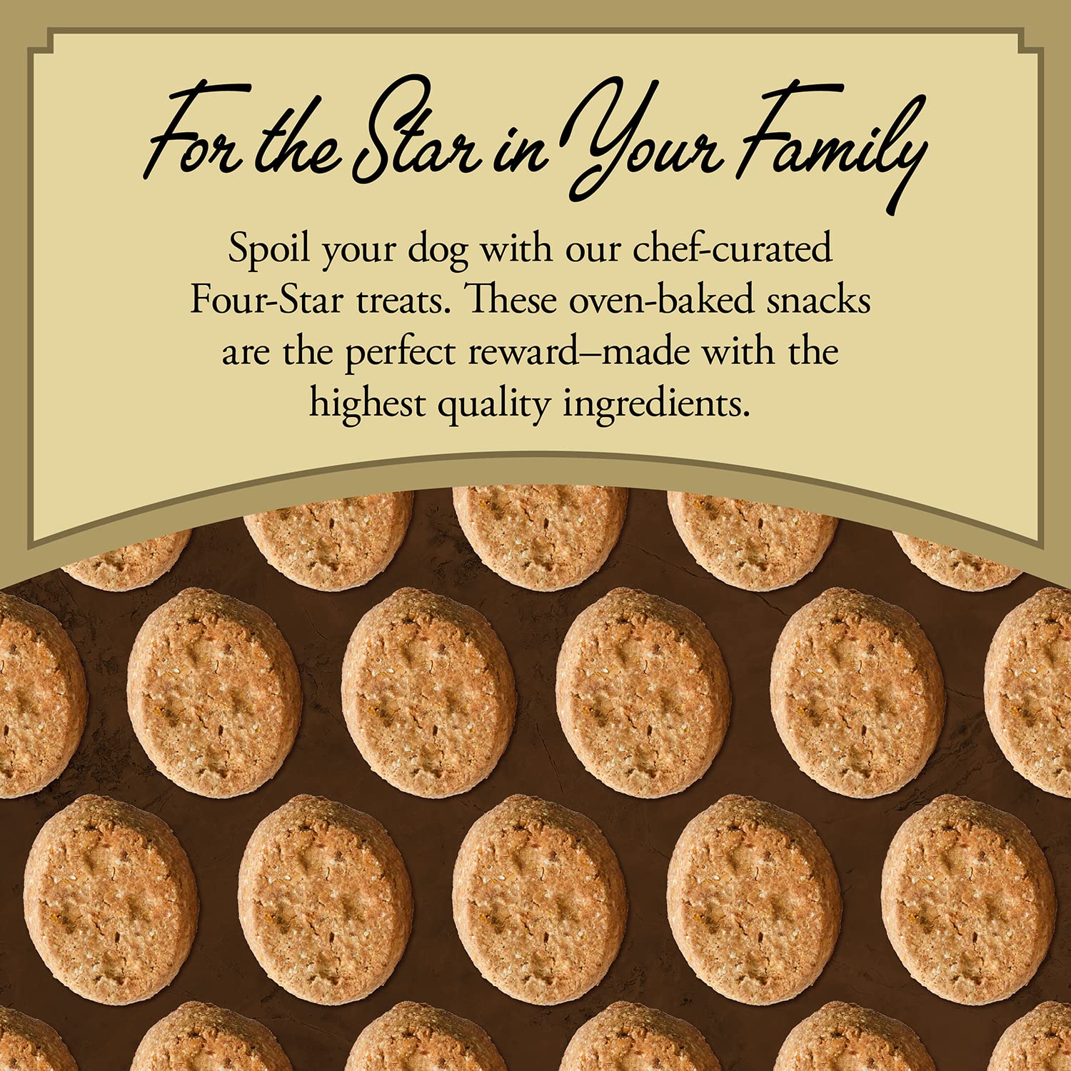 Fromm Four-Star Nutritionals Parmesan Cheese Dog Treats - Premium Oven Baked Dog Snacks - Cheese Recipe - 8 oz
