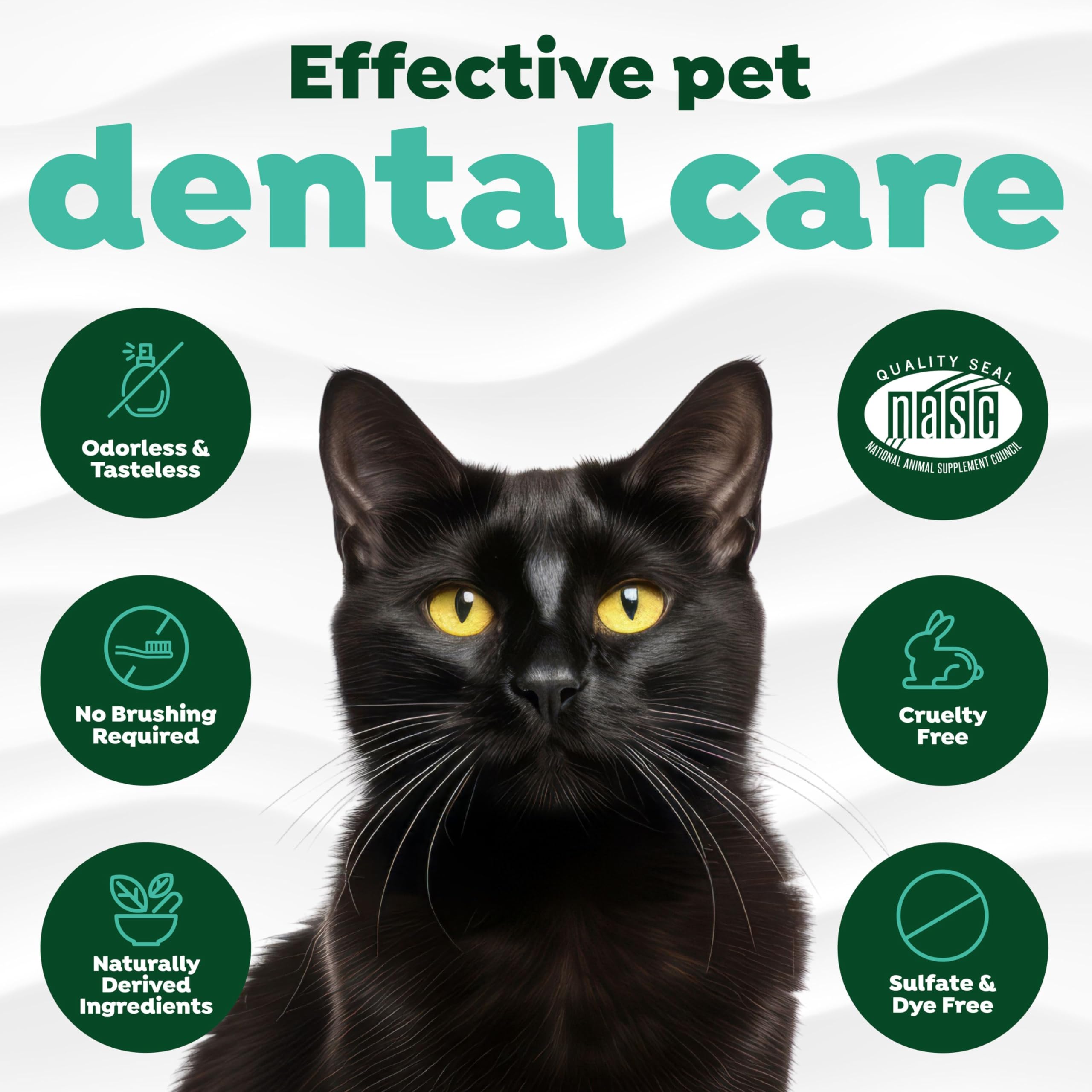 TropiClean Fresh Breath for Cats | Cat Dental Water Additive | Cat Breath Freshener for Healthy Cat Dental Care | Made in the US