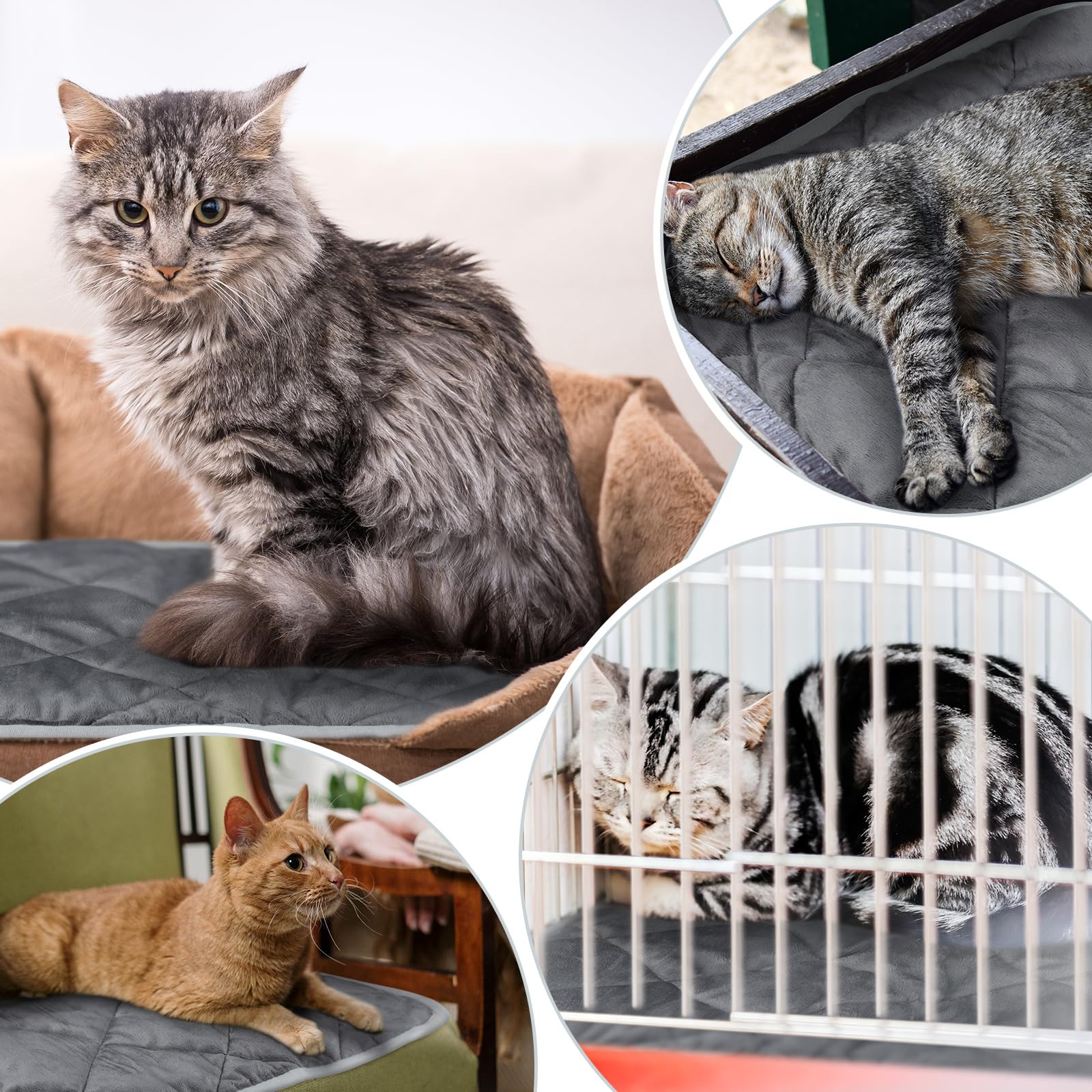 Clysee 4 Pack Self Heating Cat Pad Self Warming Dog Mat Reflects Body Heat Extra Warm Thermal Pet Pad Washable Dog Cat Bed Crate