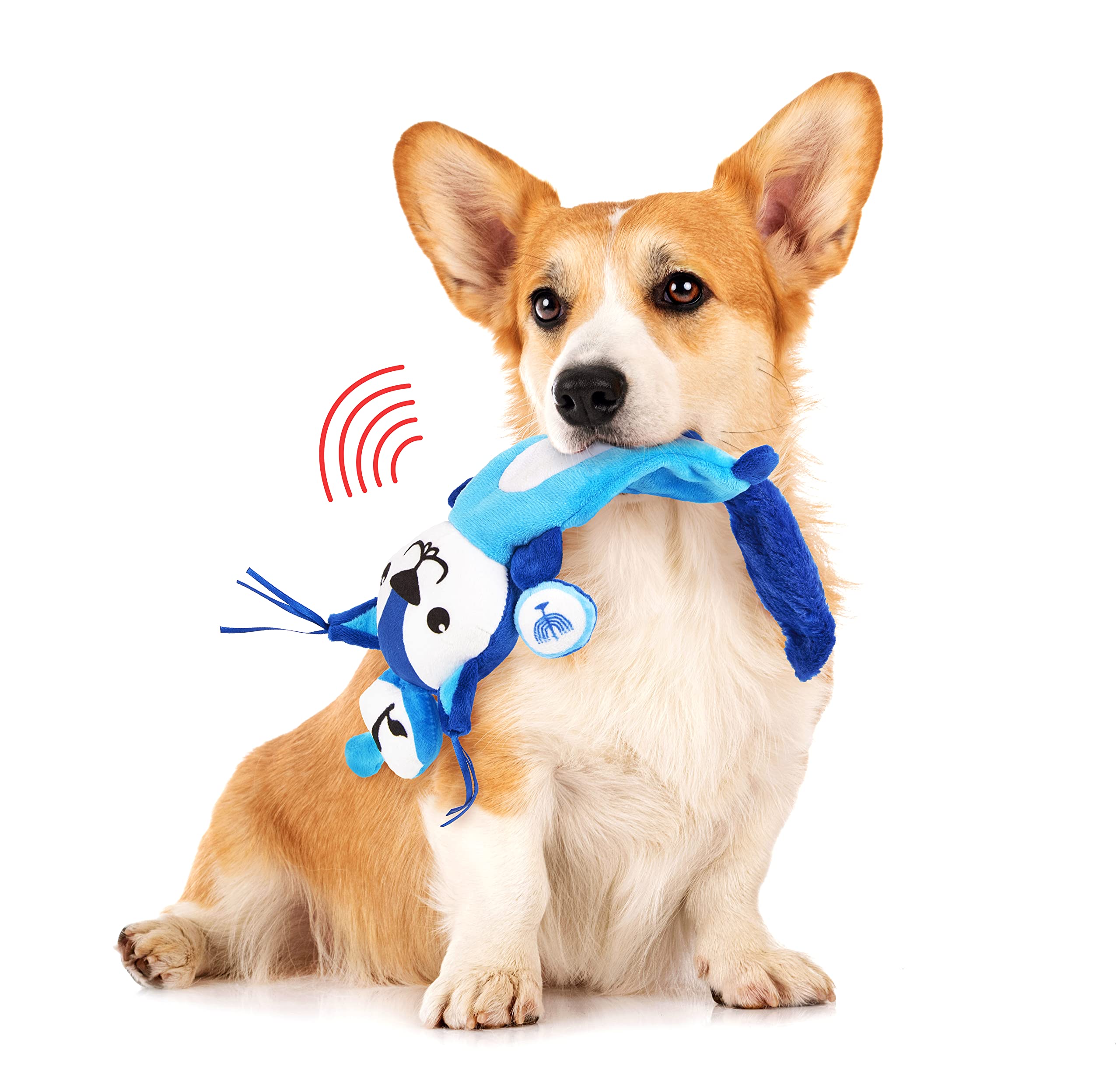 Aviv Judaica Hanukkah Themed Squeaky Plush Toys for Dogs Quality Fabrics Unstuffed Body Pet Toy Exciting Squeaking Pets Toy Medi