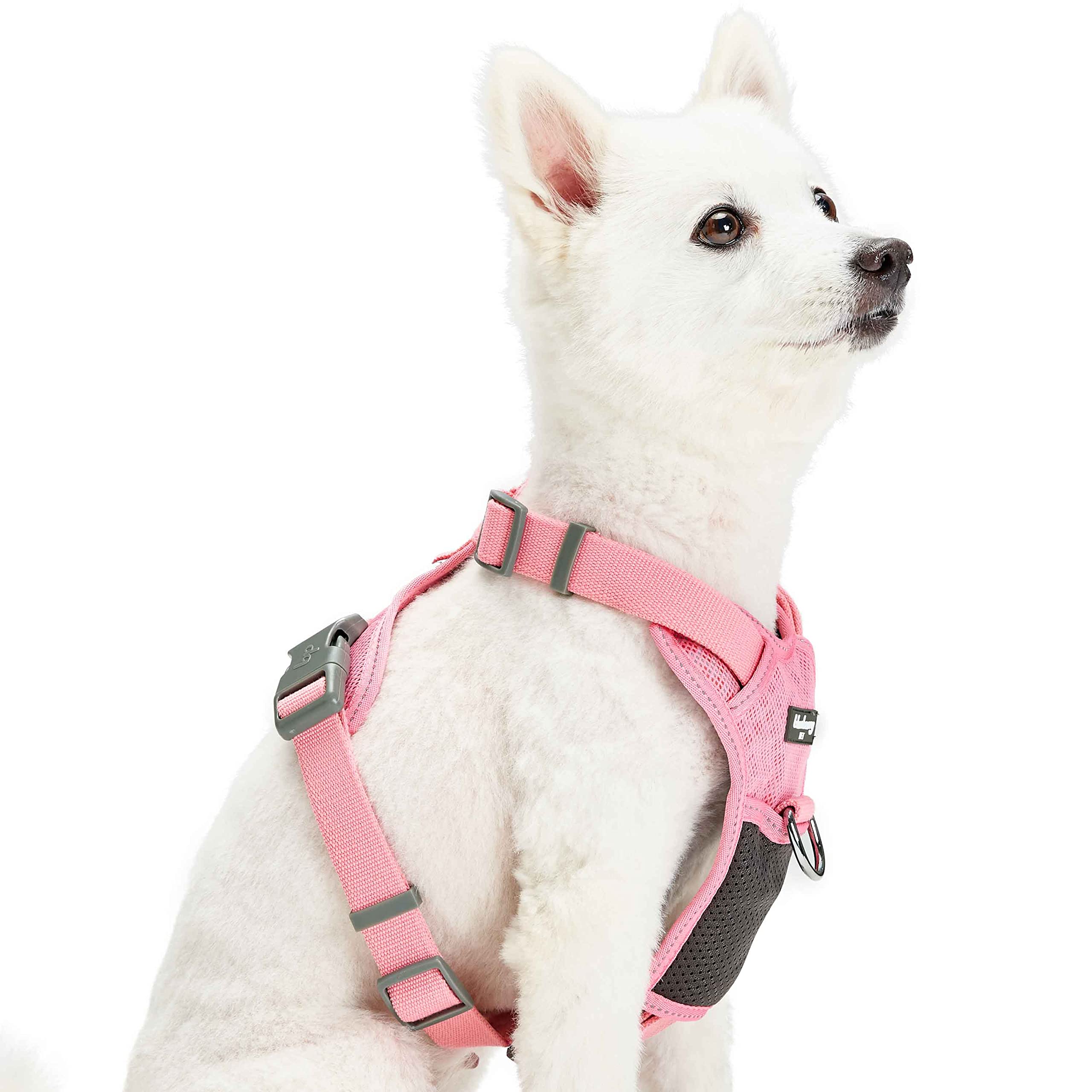 Blueberry Pet Soft & Comfy 3M Reflective Dog Harness Vest | Mesh Padded No Pull | Multi-Colored Stripe - Pink | Adjustable For X