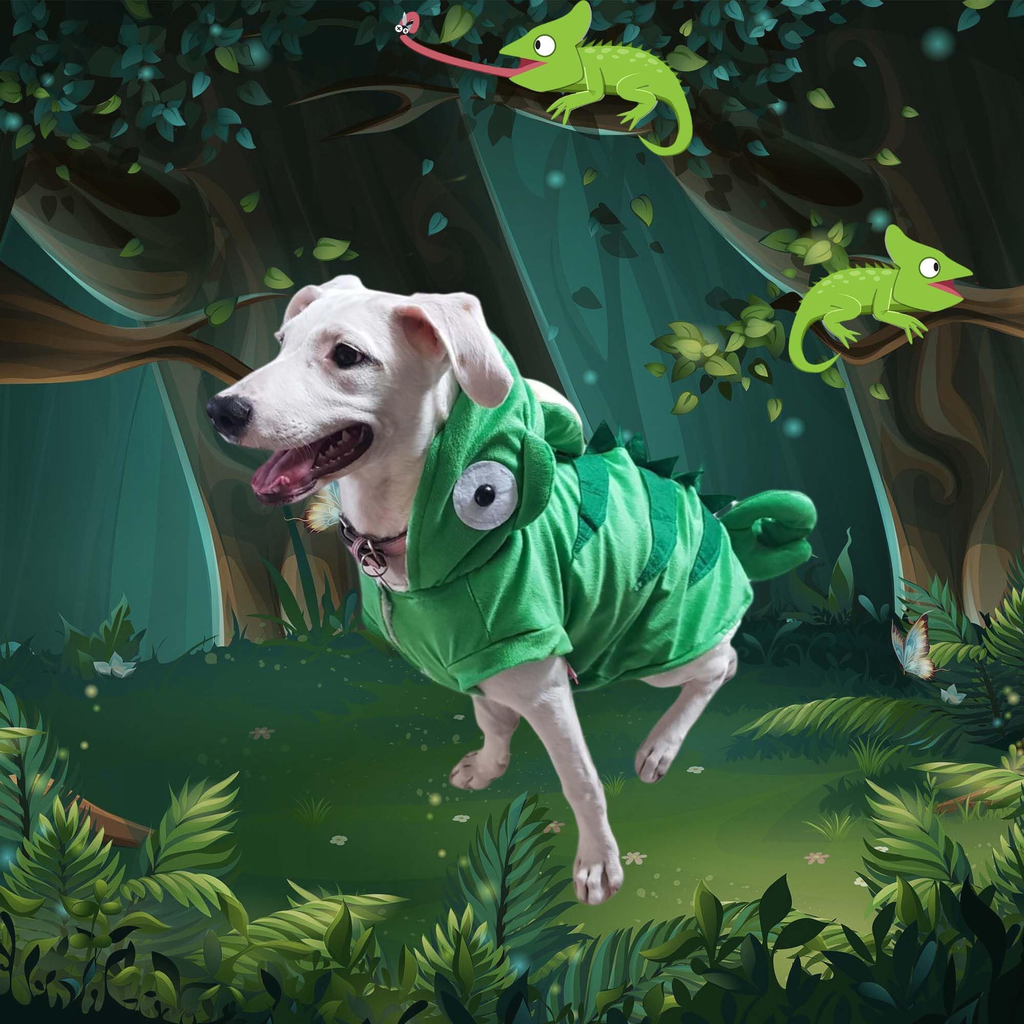 Muyaopet Chameleon Dog Costume For Halloween,Winter Fleece Pet Cat Coat Jacket For Small Medium Large Dog,Pet Funny Clothes Hood