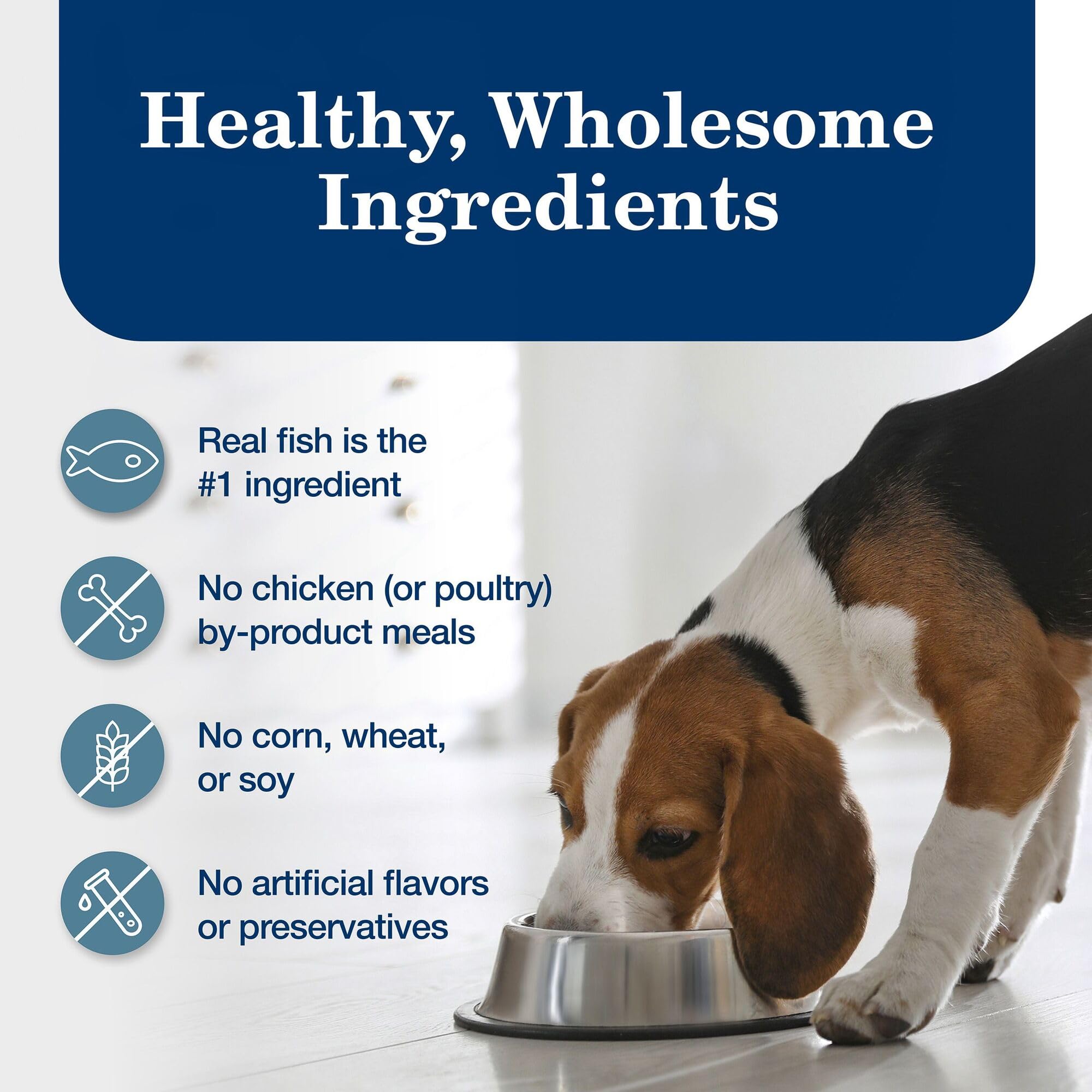 Blue Buffalo Homestyle Recipe Adult Wet Dog Food, Made with Natural Ingredients, Fish & Sweet Potato Dinner With Garden Vegetabl