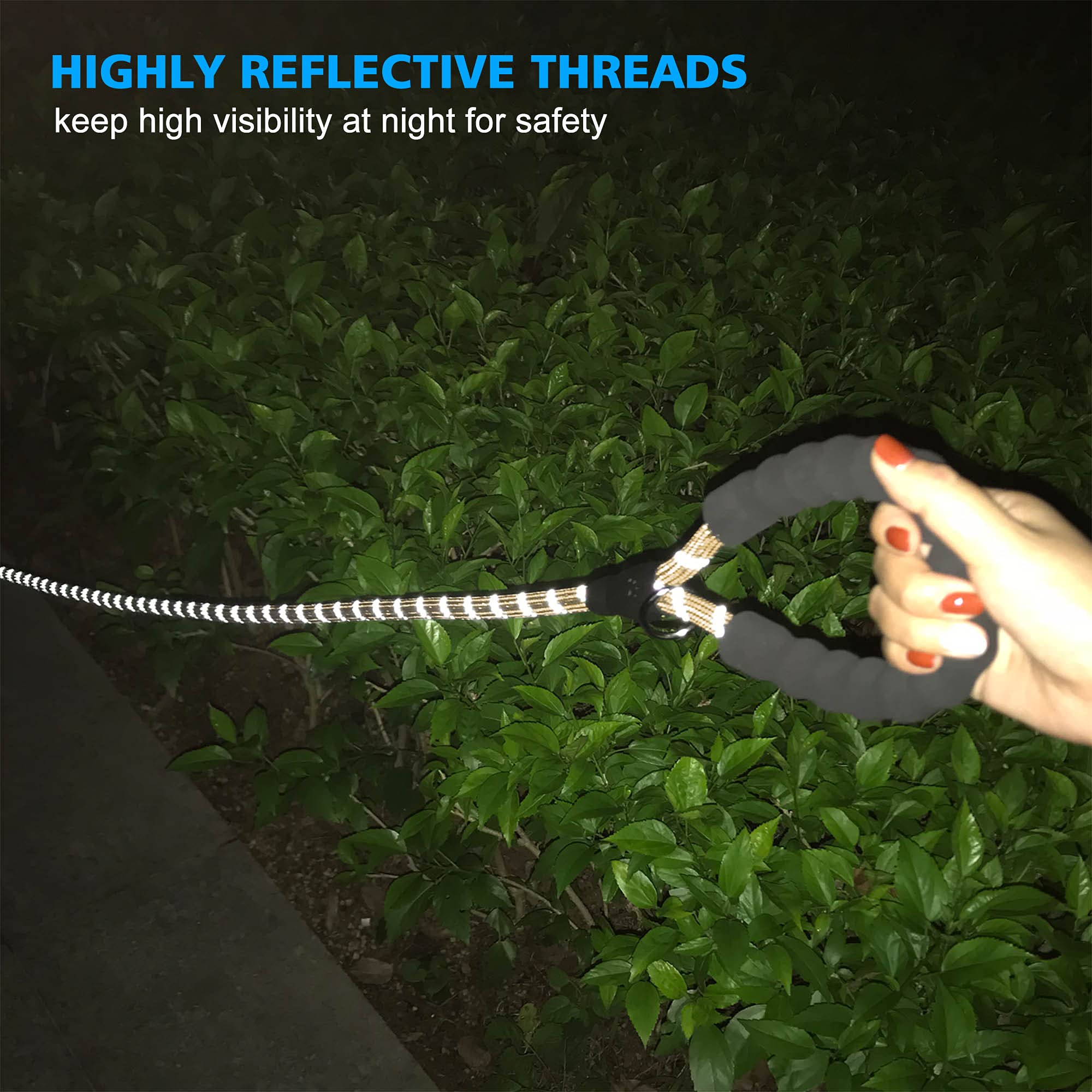 Ladoogo Reflective Dog Collar Padded With Soft Neoprene Breathable Adjustable Nylon Dog Collars For Small Medium Large Dogs (Large (Pack Of 1), Vanilla Collar+Leash)