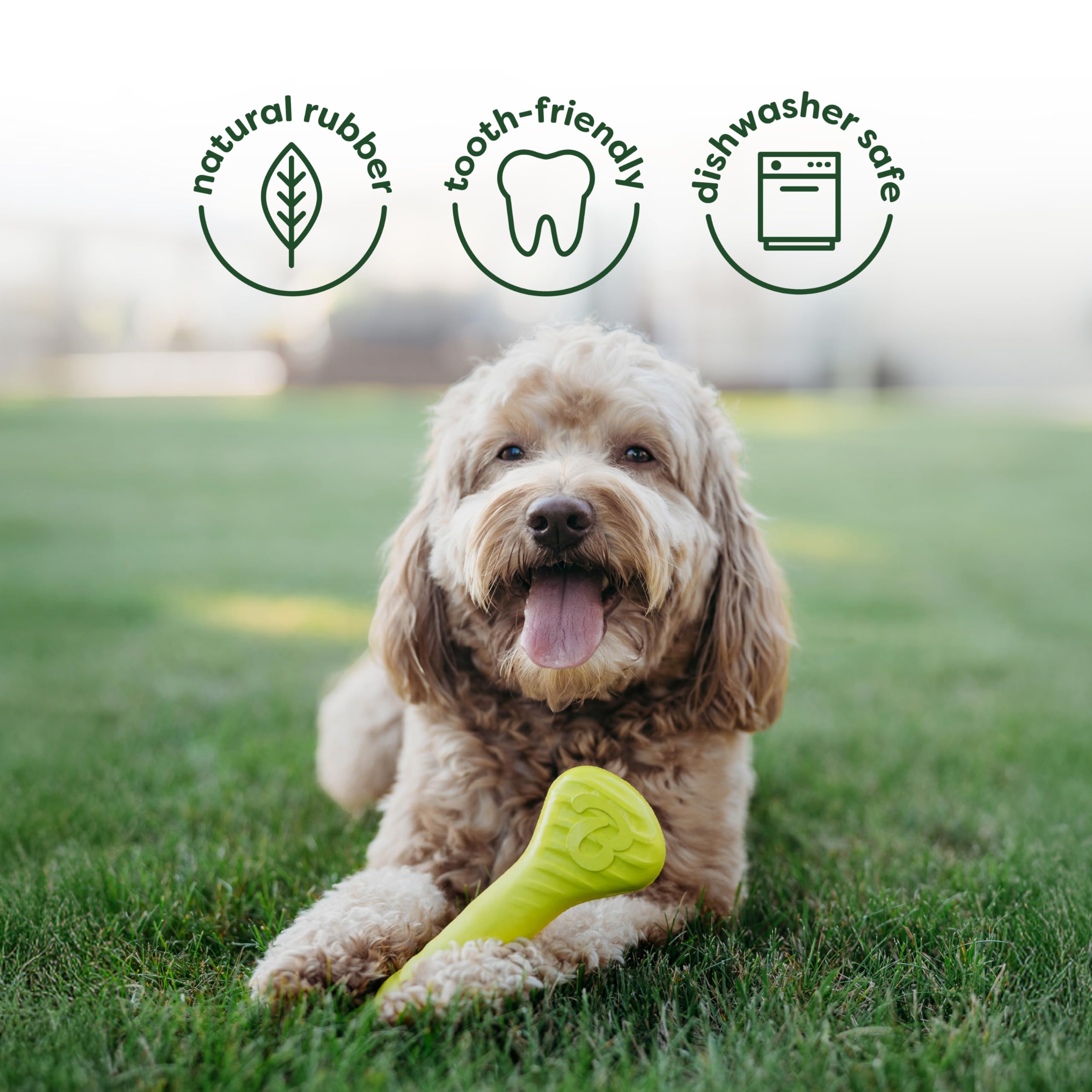 Benebone 4-Pack Ball/Bone/Bacon Wishbone/Fishbone Medium