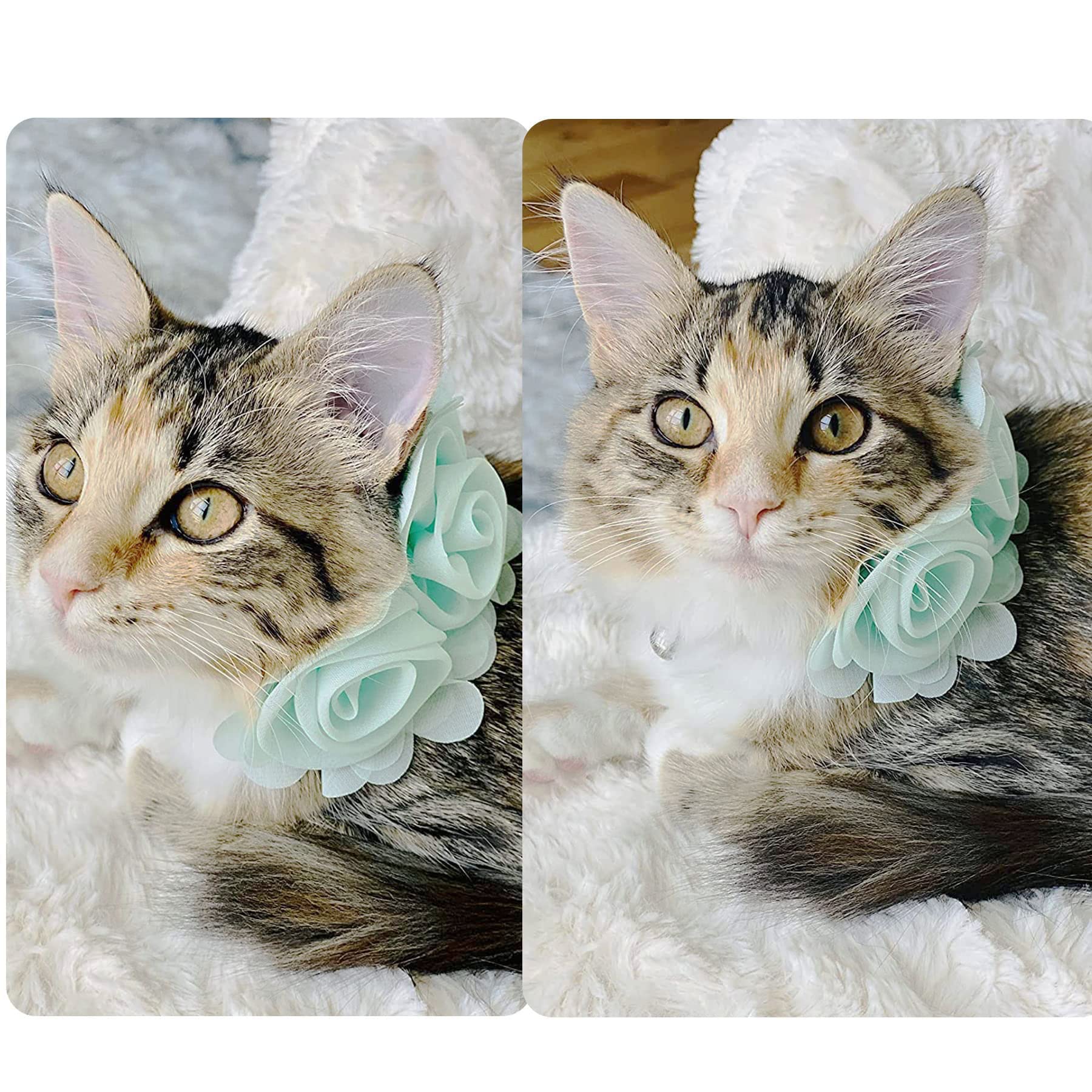 JpGdn 6pcs Dog Collar Flowers Pink Purple Yellow Puppy Collar Charms Multicolored for Small Medium Large Girl Boy Female Cat Kit