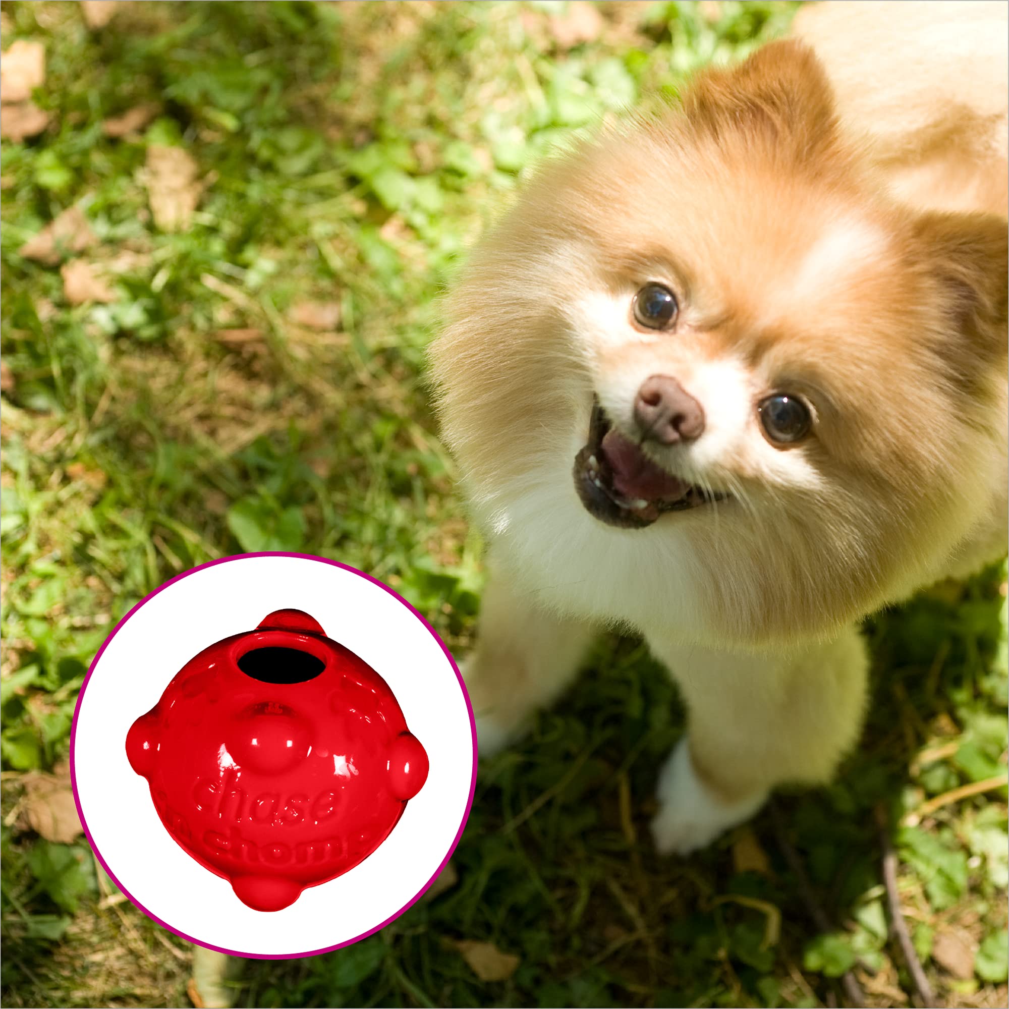 Chase 'N Chomp Dog Amazing Squeaker Ball Toy For Pets, Molecule, 2.5 Inch Small Breeds