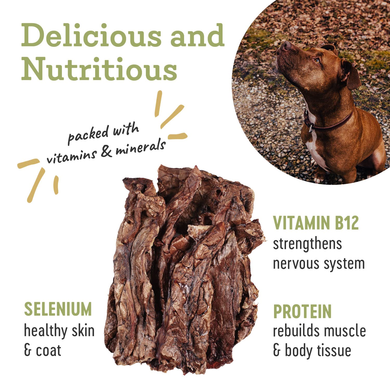 Farm Hounds - Beef Lung - Premium Natural Beef Lung Jerky for Dogs - Made from 100% Humanely Raised Cattle - Organ Treat - Great