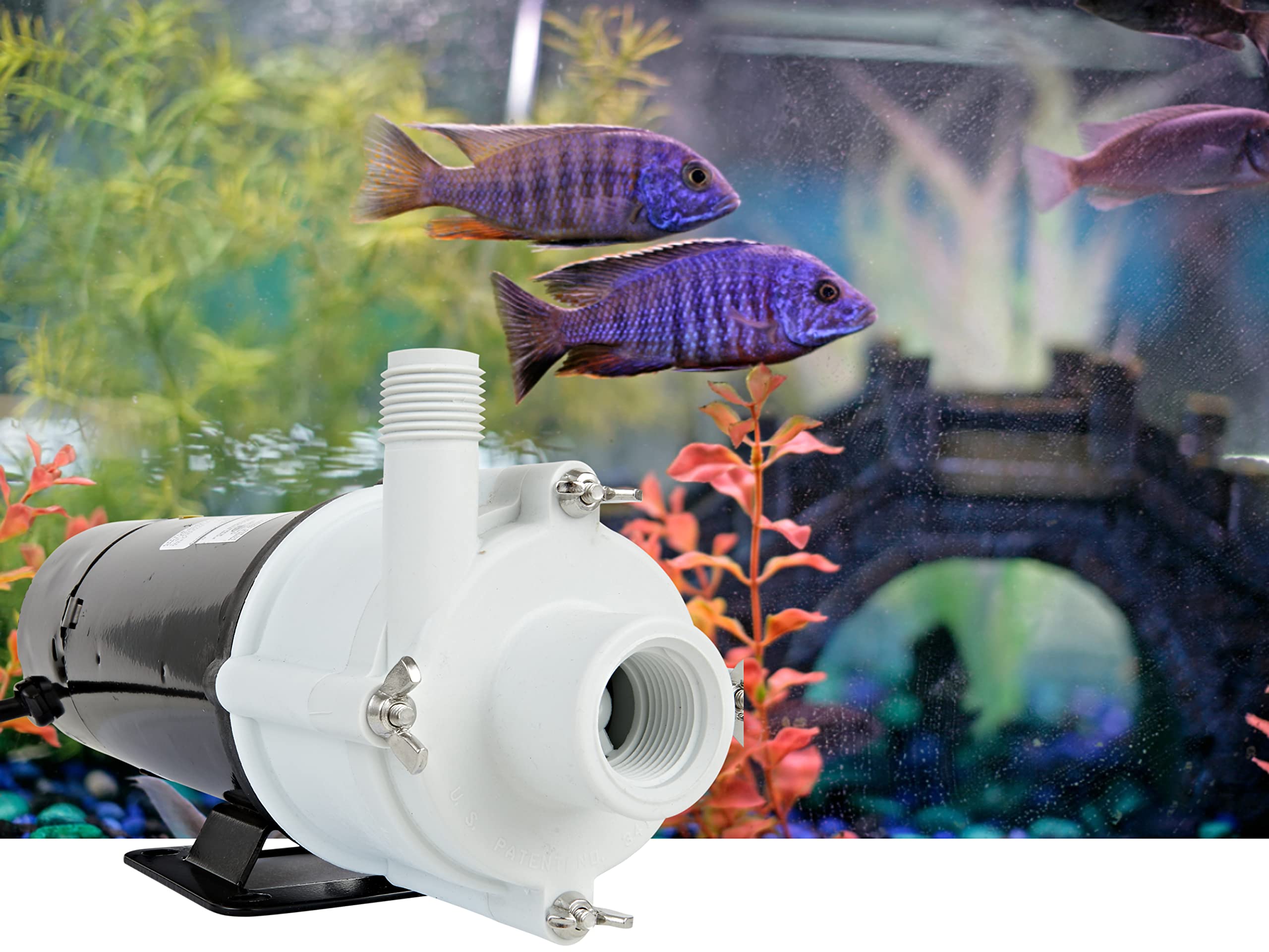 Little Giant 3-MDQX-SC Aquarium Circulation Pump, 1000 GPH, Non-Submersible, 115V, Polypropylene, Black/White, Model 581507