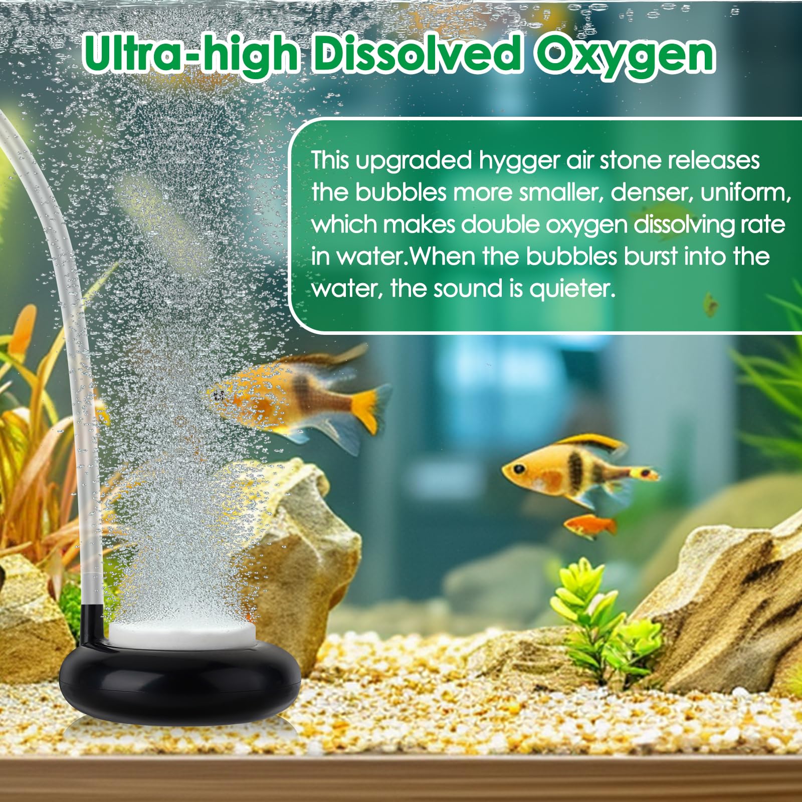 Hygger Aquarium Air Stone, Fish Tank Bubbler, Nano Furnace Flue Round Stone Disk, Small Bubbles And High Dissolved Oxygen, With 2 Suction Cups, 1 Adjust Valve, 1 Check Valve (2 Inch)