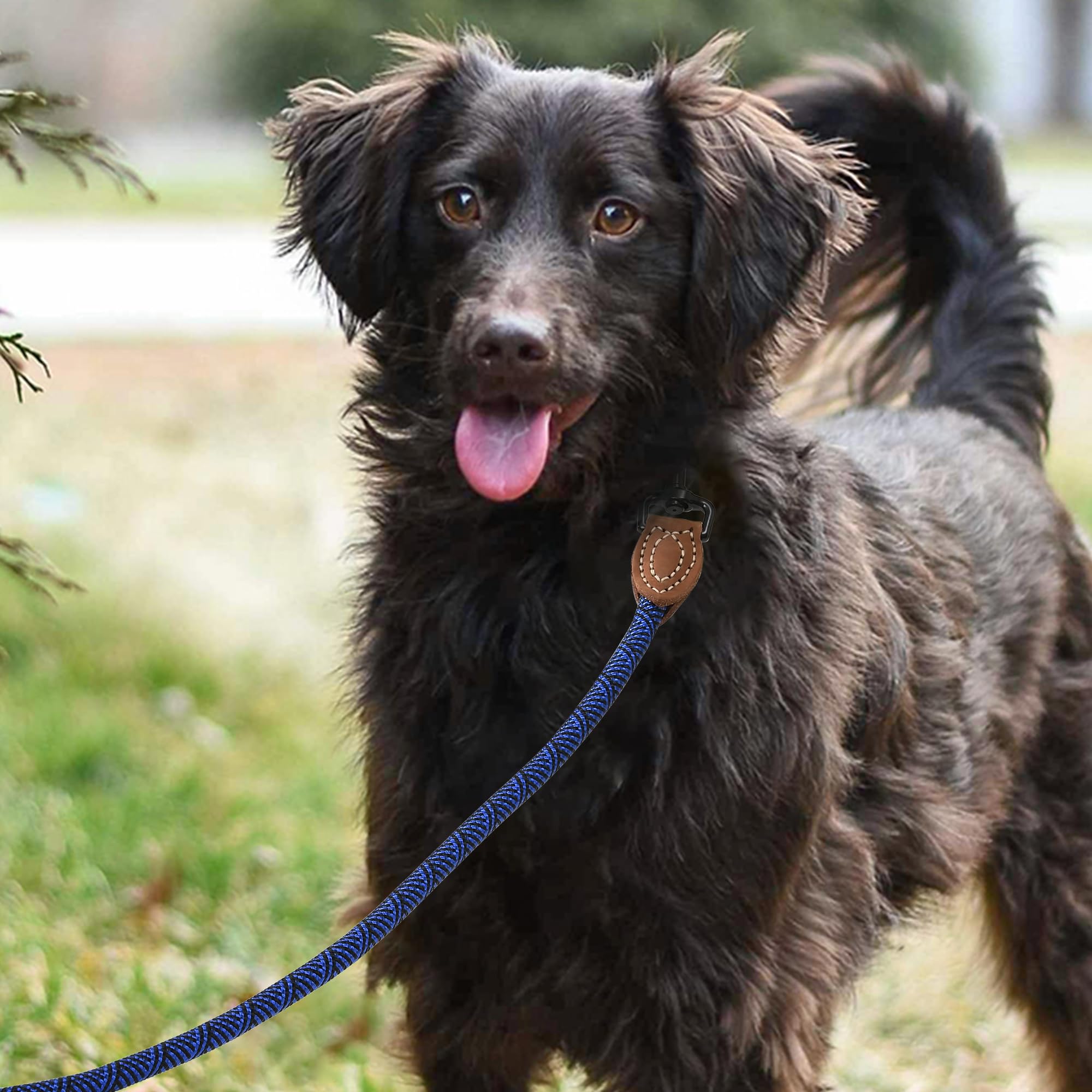 Mile High Life Rope Leash With Genuine Leather Connection, 6 Ft/5 Ft/4 Ft, Heavy Duty Leash For Medium & Large Dogs (Blue, 60 In