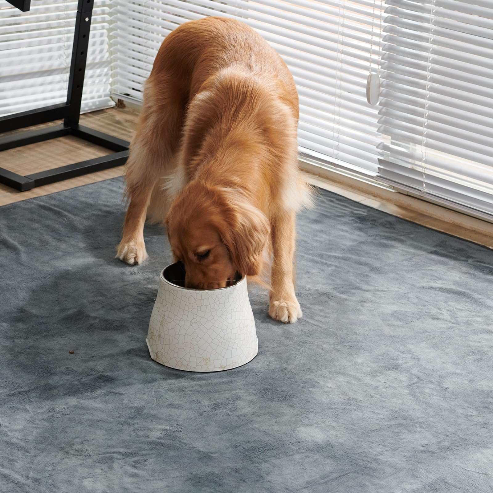 Washable Pee Pads For Dogs, 60X60 Reusable Whelping Pads, Absorb Dog Mats Non-Slip Puppy Training Pads For Whelping, Potty, Trai