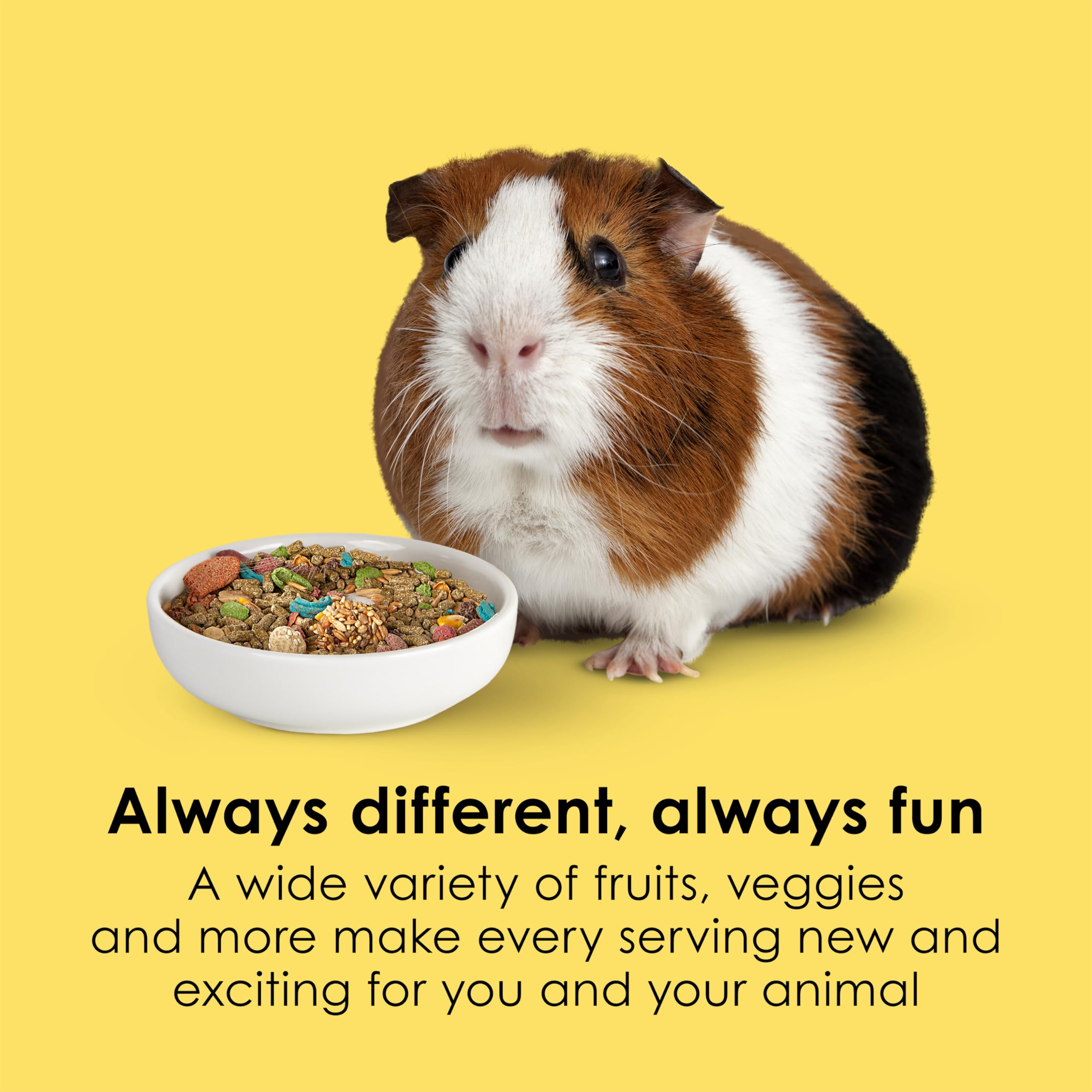 Kaytee Fiesta Guinea Pig Food, 2.5-Pound