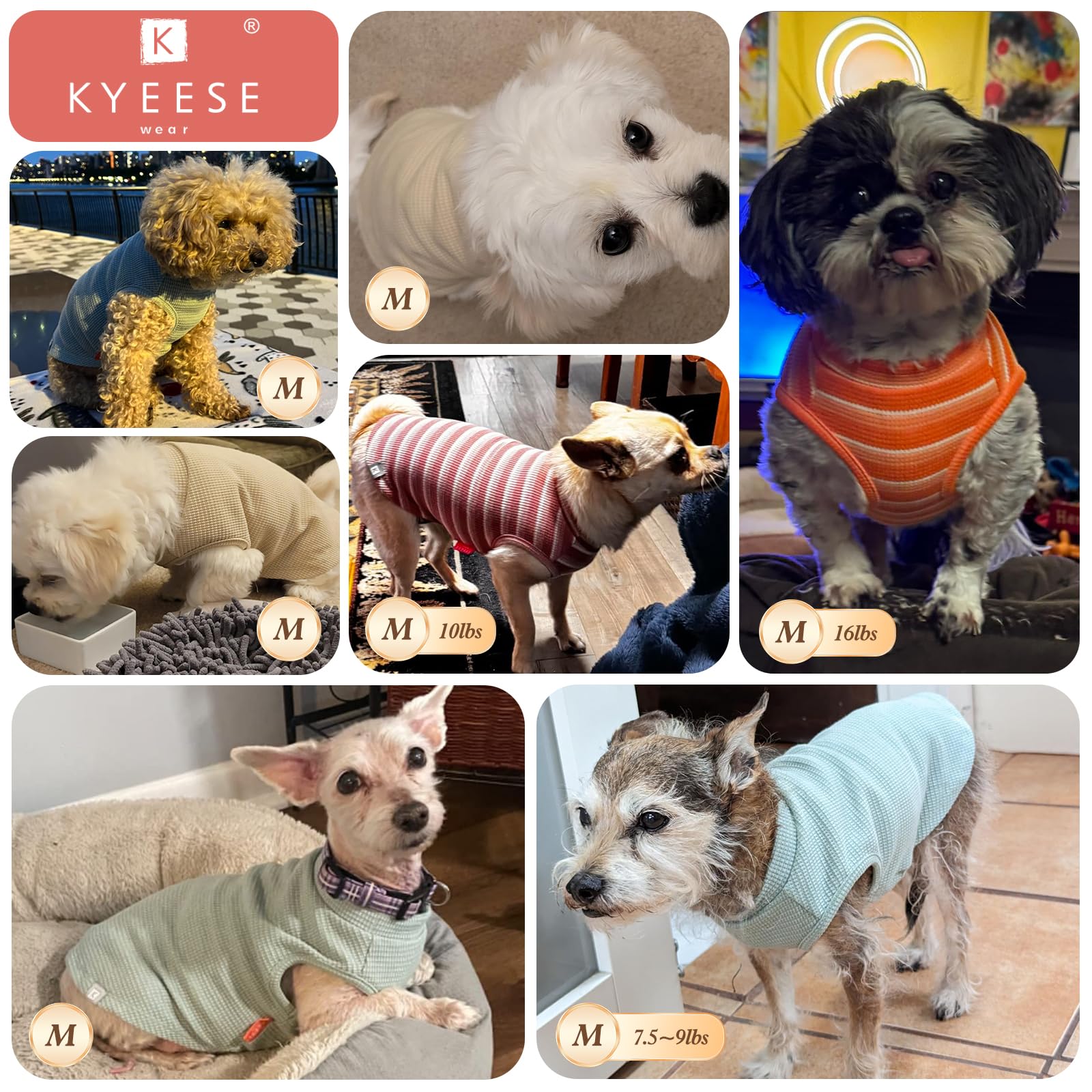 Kyeese 2Pack Dog Shirts Waffle For Small Dogs Stretchy Dog T-Shirts Lightweight Tank Top Sleeveless Vest Breathable Cat Shirt, M