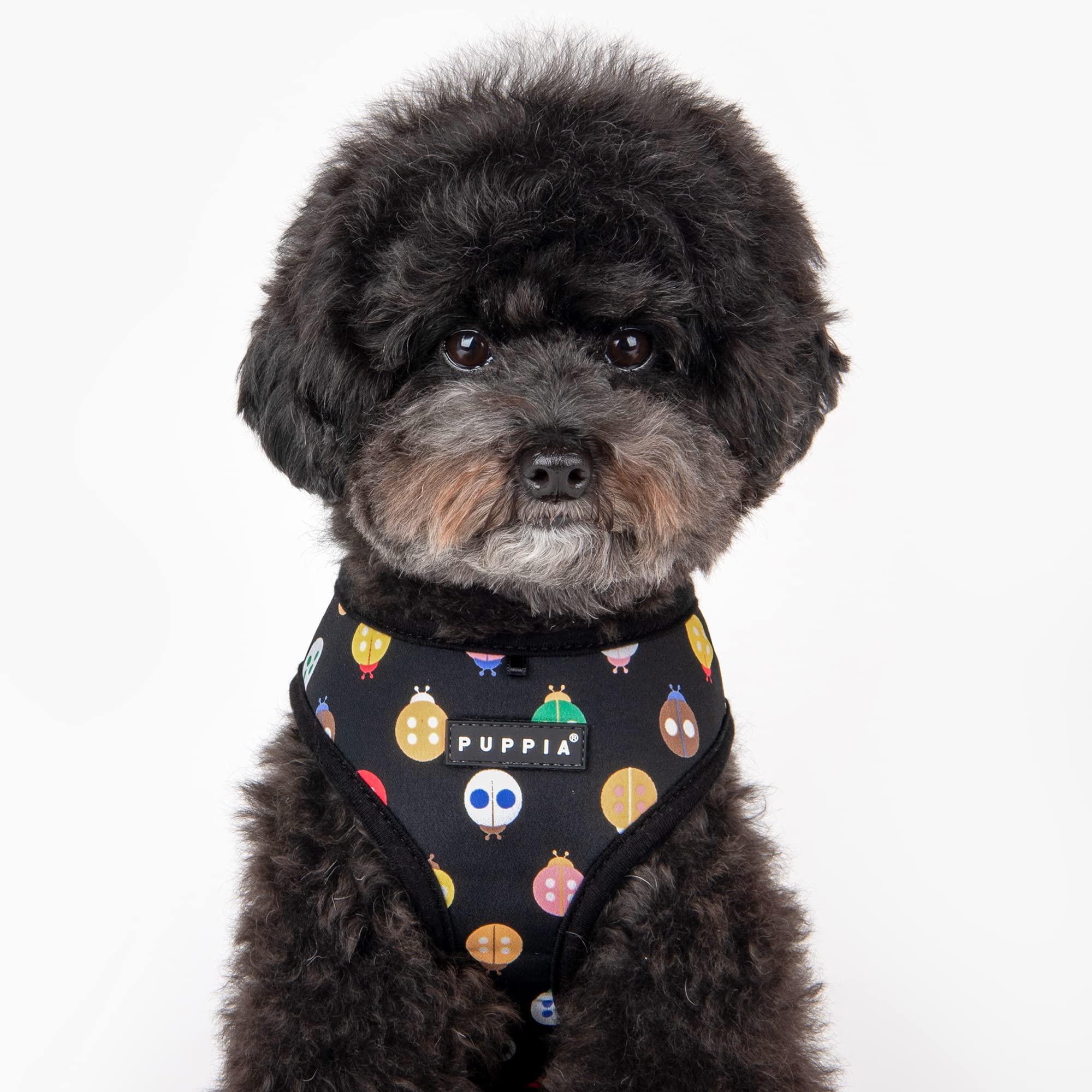 Puppia Spring And Summer Fashion Over-The-Head Dog Harness, Black_Ladybeetle, Small
