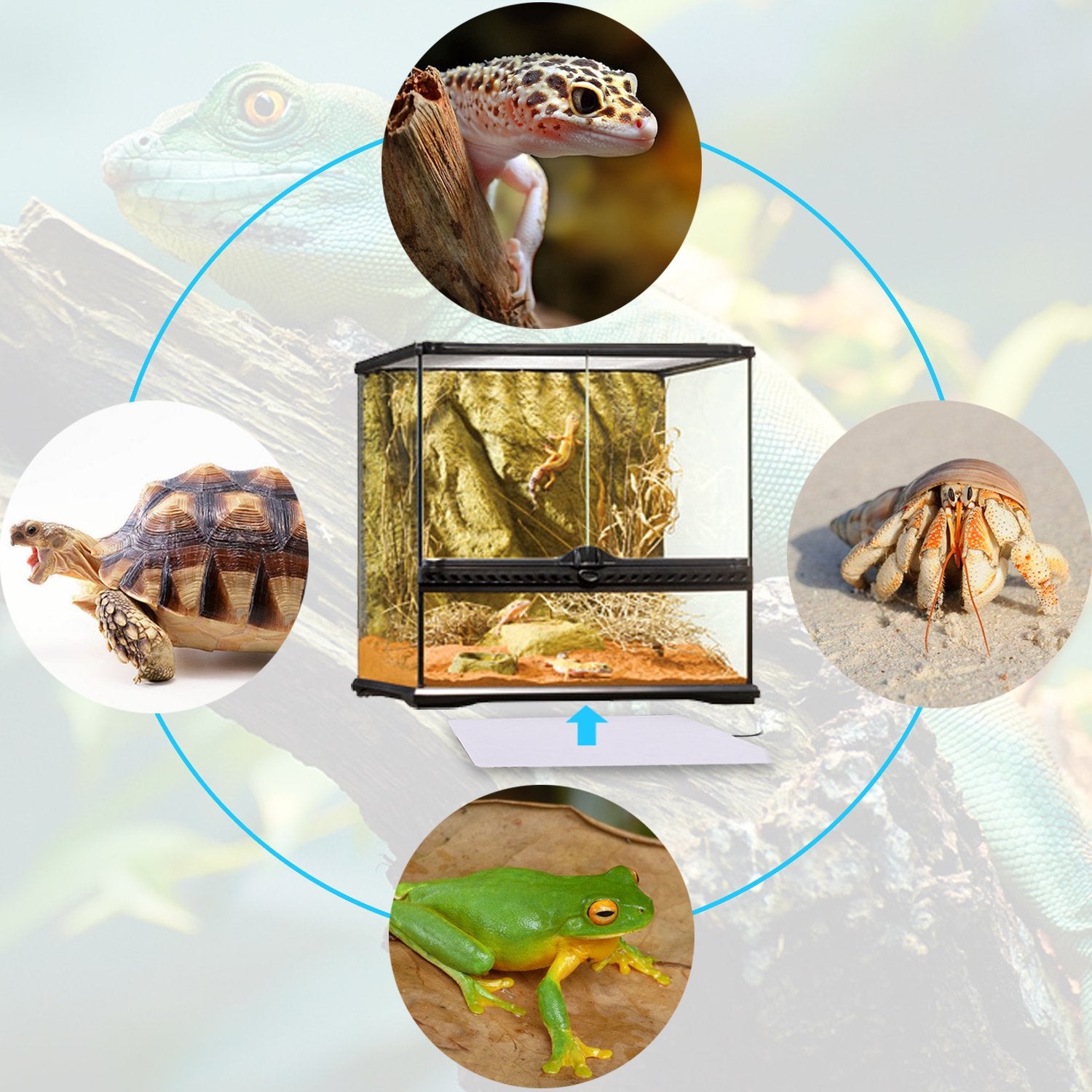 Aiicioo Under Tank Heater Thermostat - Reptile Heating Pad With Temperature Control Reptile Heat Mat For Combo Set For Hermit Crab Lizard Terrarium 8W